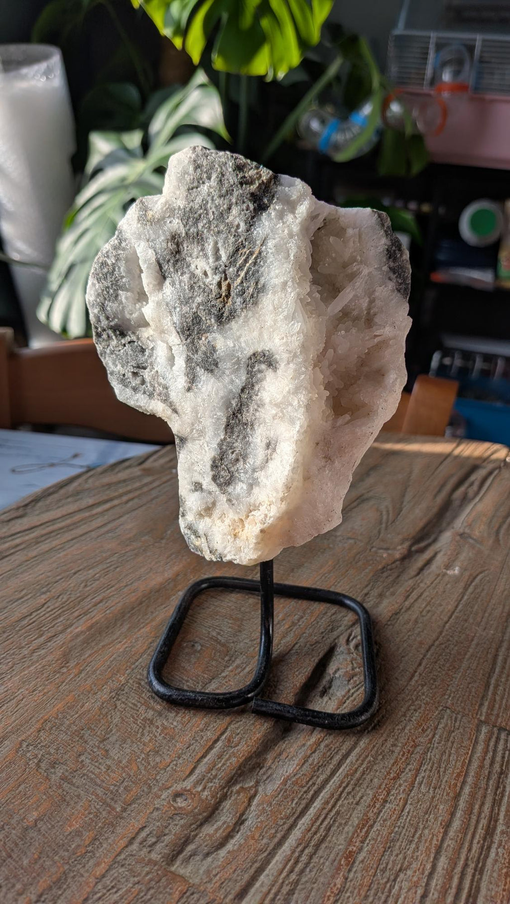 Een grote gepolijste Zebra Lace Agaat schijf met zwart-witte patronen, gemonteerd op een modern zwart metalen statief op een houten tafel.