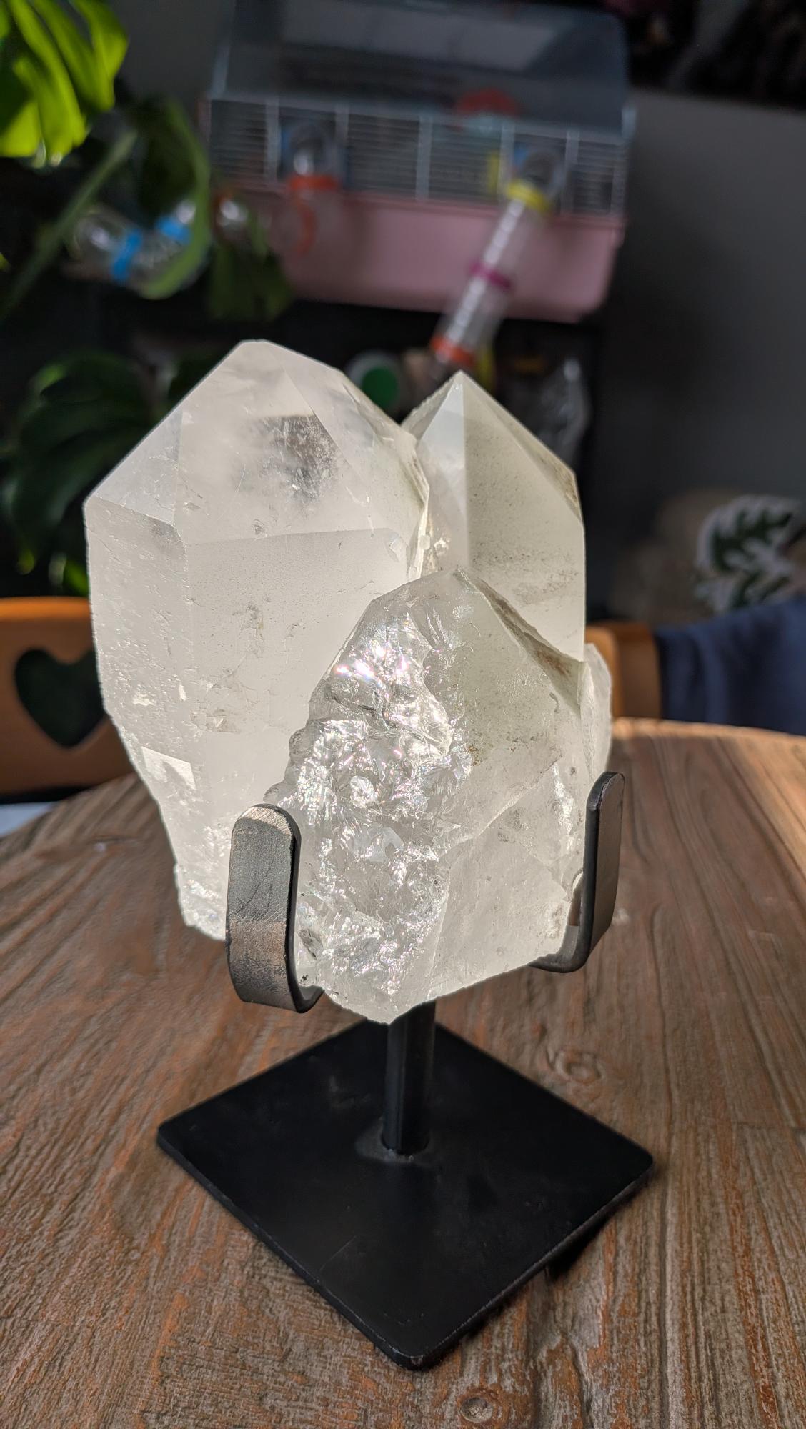 Een massieve heldere bergkristal cluster van 1370 gram op een zwart metalen design-standaard, gefotografeerd op een houten ondergrond.