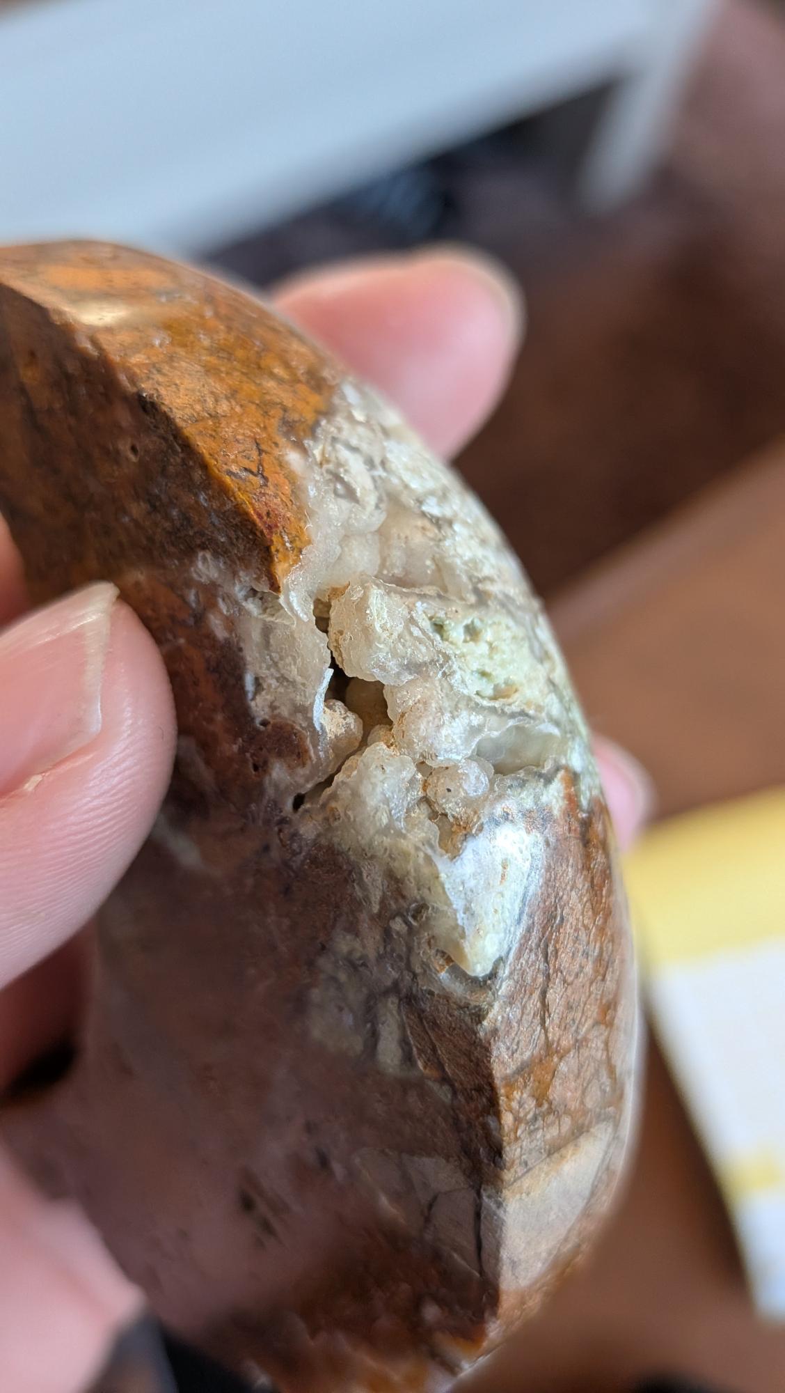 Zijaanzicht van de gepolijste Oceaan Jaspis maan, tonend de diepte van de natuurlijke inkepingen en de rijke textuur.