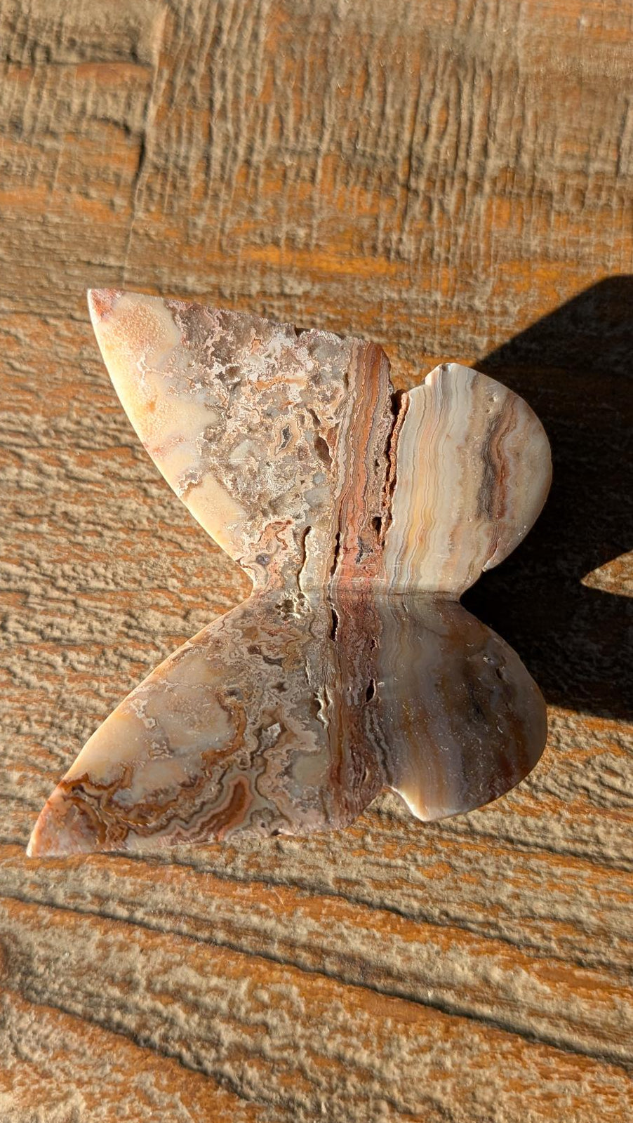 Exclusieve 3D-handgesneden vlinder van Crazy Lace Agaat, volledig rondom bewerkt met gedetailleerde patronen, handwerk uit Java.