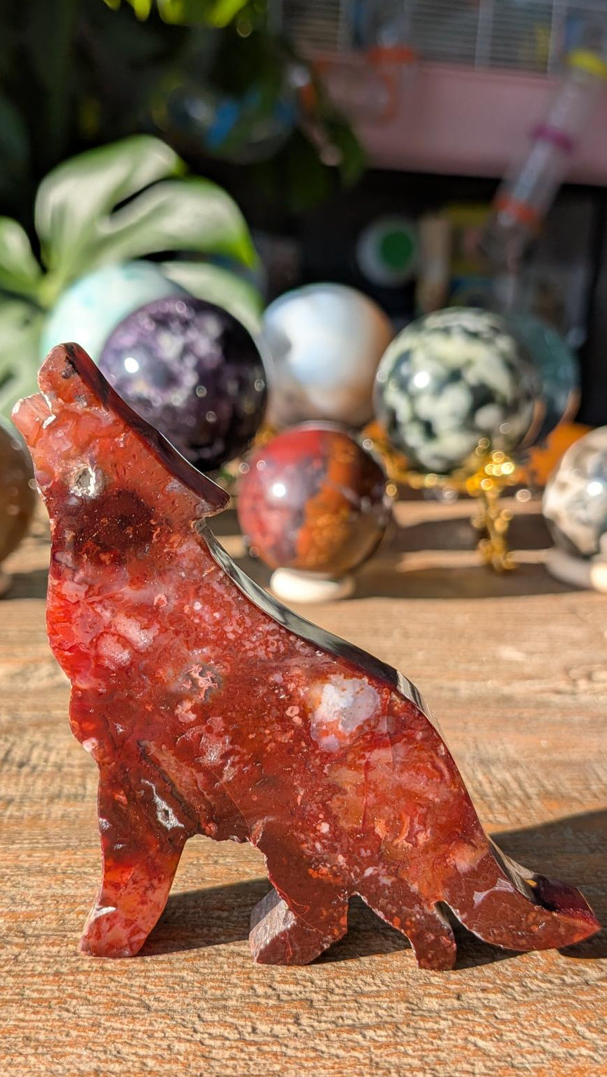 Handgesneden huilende wolf van dieprode Carneool, 8,5x7 cm, authentiek en gedetailleerd handwerk uit Java, Indonesië.