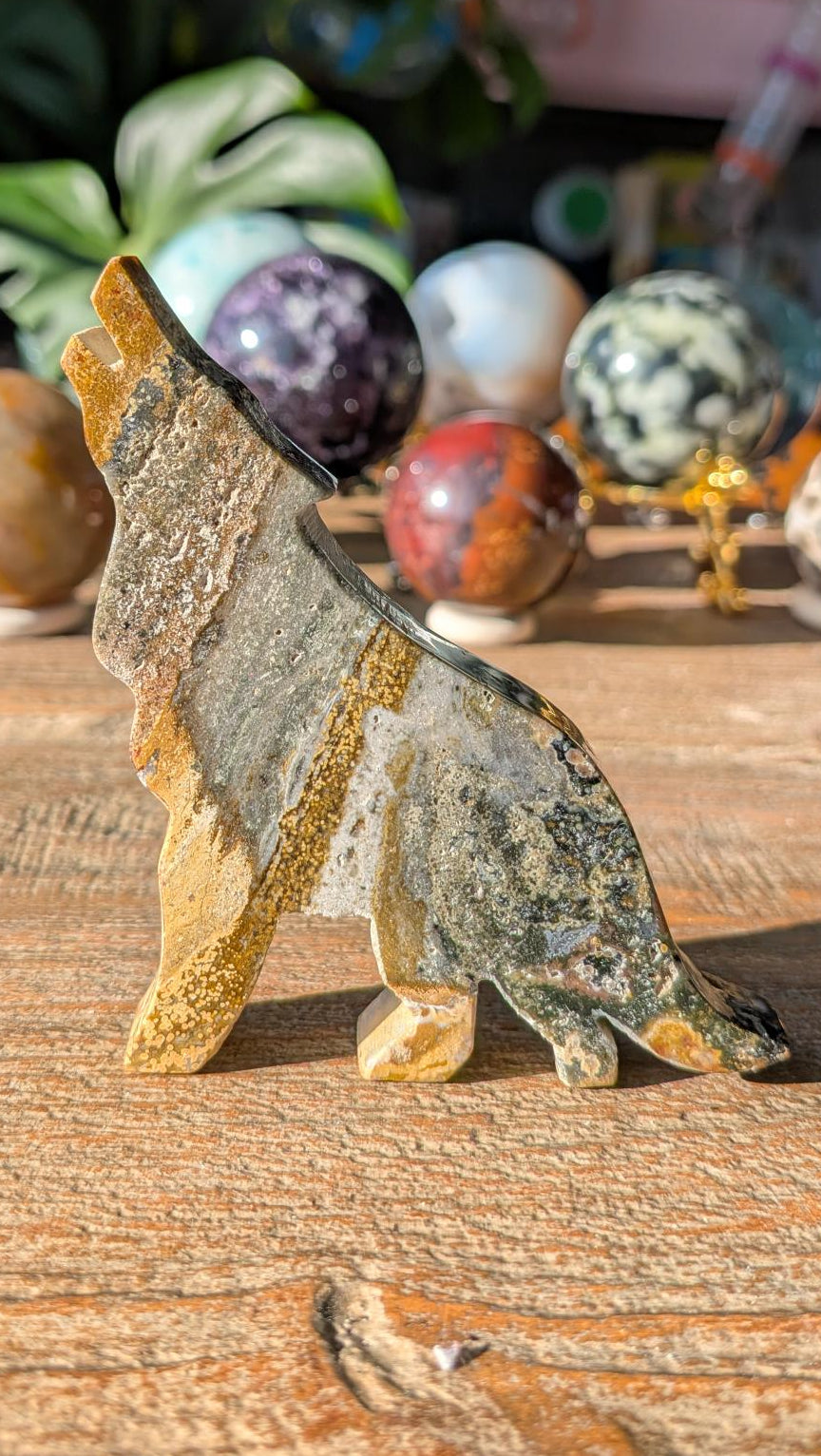 Zijaanzicht van de Oceaan Jaspis wolf tonend de unieke gespikkelde structuur en de 1,2 cm dikte van de steen.