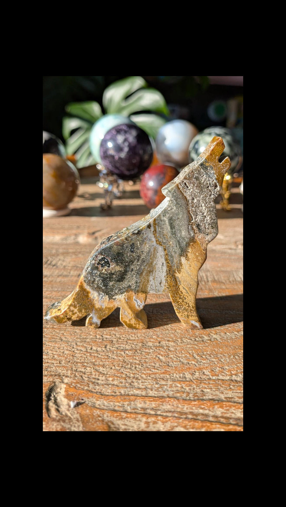 Handgesneden huilende wolf van Oceaan Jaspis met natuurlijke groene en gele patronen, 8,5x7 cm groot vakmanschap uit Java.