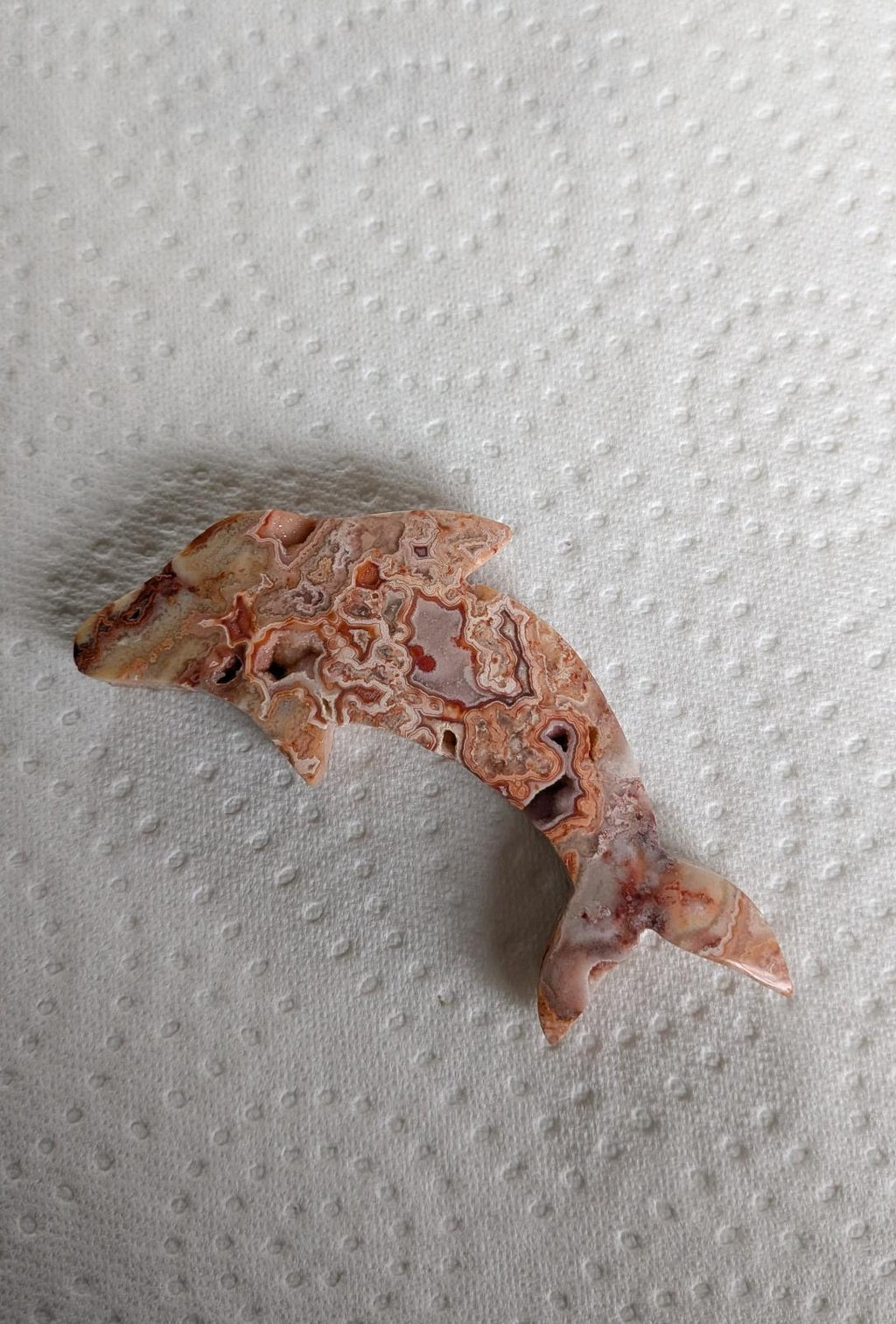 Robuuste handgesneden dolfijn van Crazy Lace Agaat met diepe kristalgeodes en complexe oranje-witte patronen.