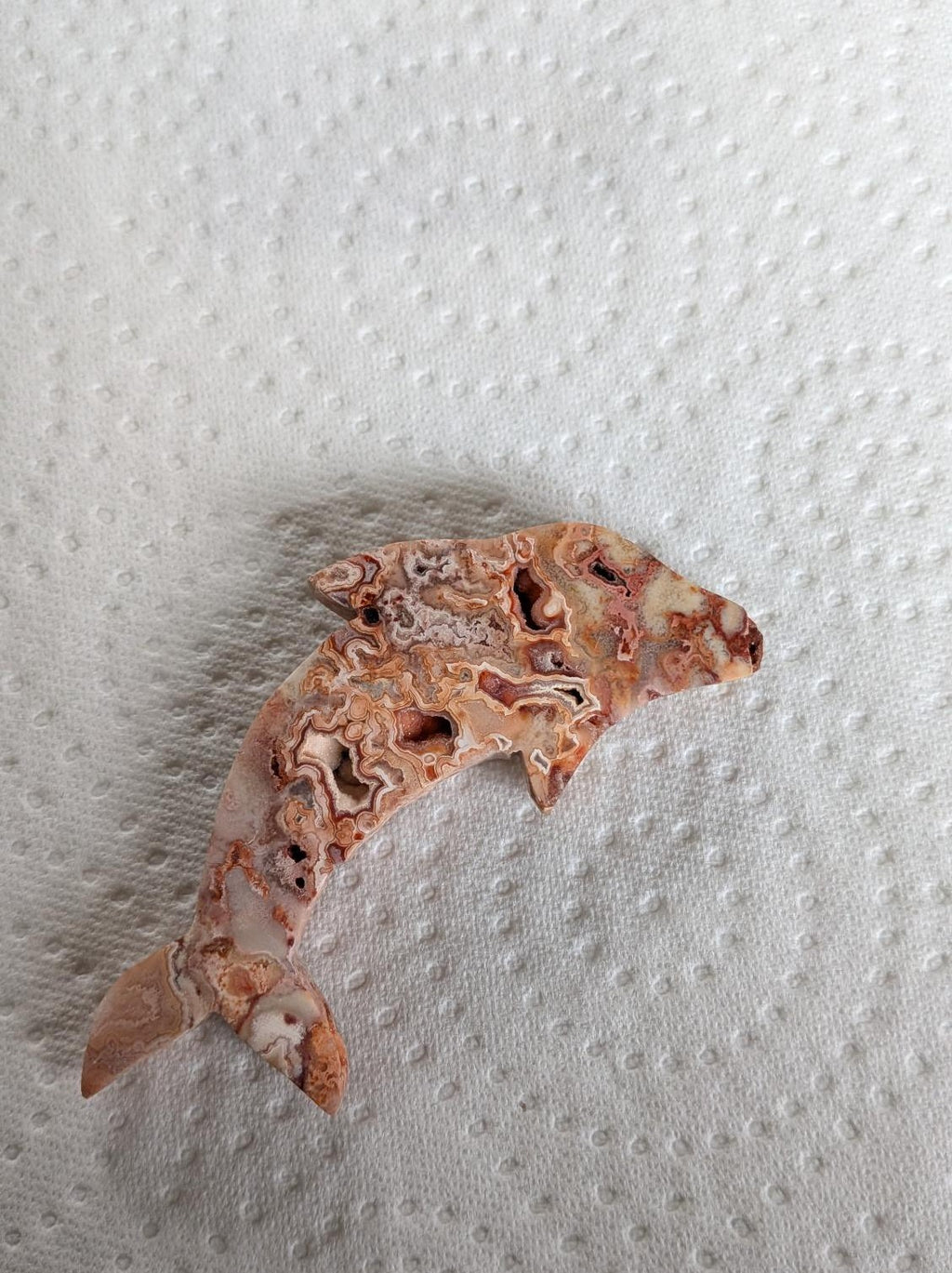 Robuuste handgesneden dolfijn van Crazy Lace Agaat met diepe kristalgeodes en complexe oranje-witte patronen.