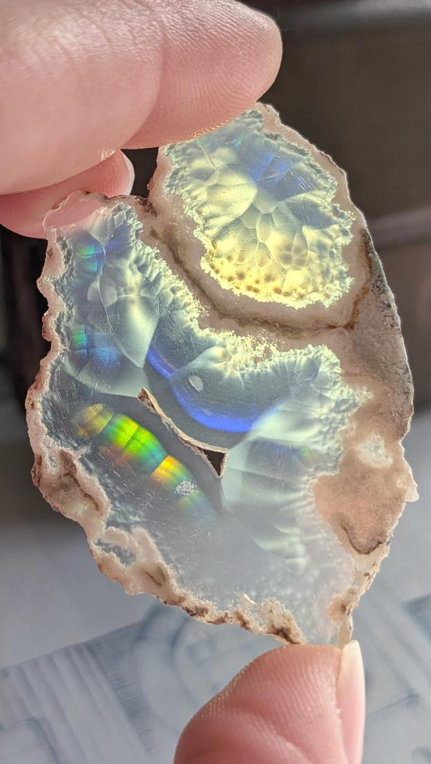 Iris Agaat uit Java (5,5 cm) met een organische vorm en felle blauw-groene regenboogkleuren die oplichten tegen een sterke lichtbron.