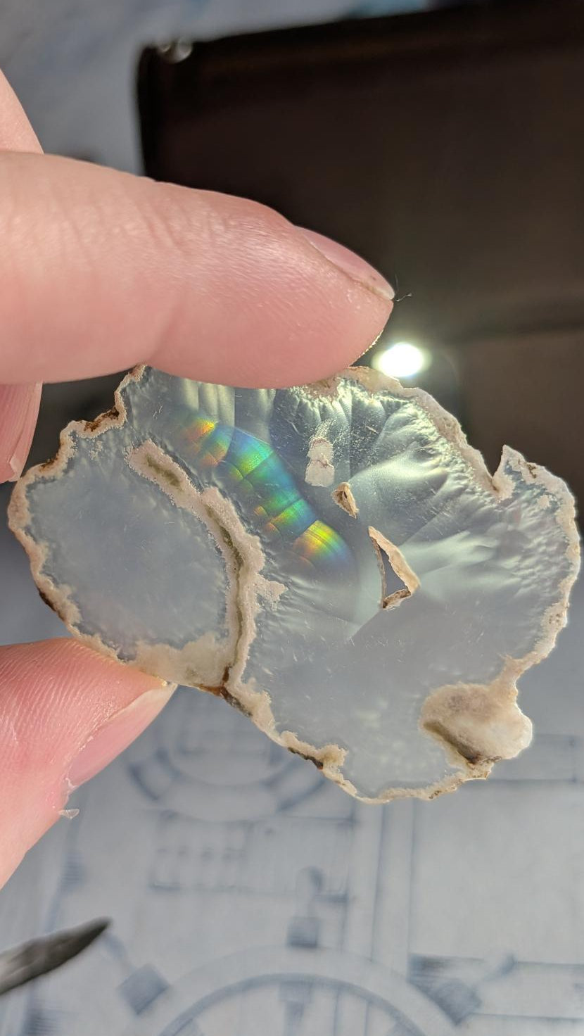 Iris Agaat uit Java (5 cm) met een organische vorm en een felle neon-regenboogstreep in het midden, tegen het licht gehouden.