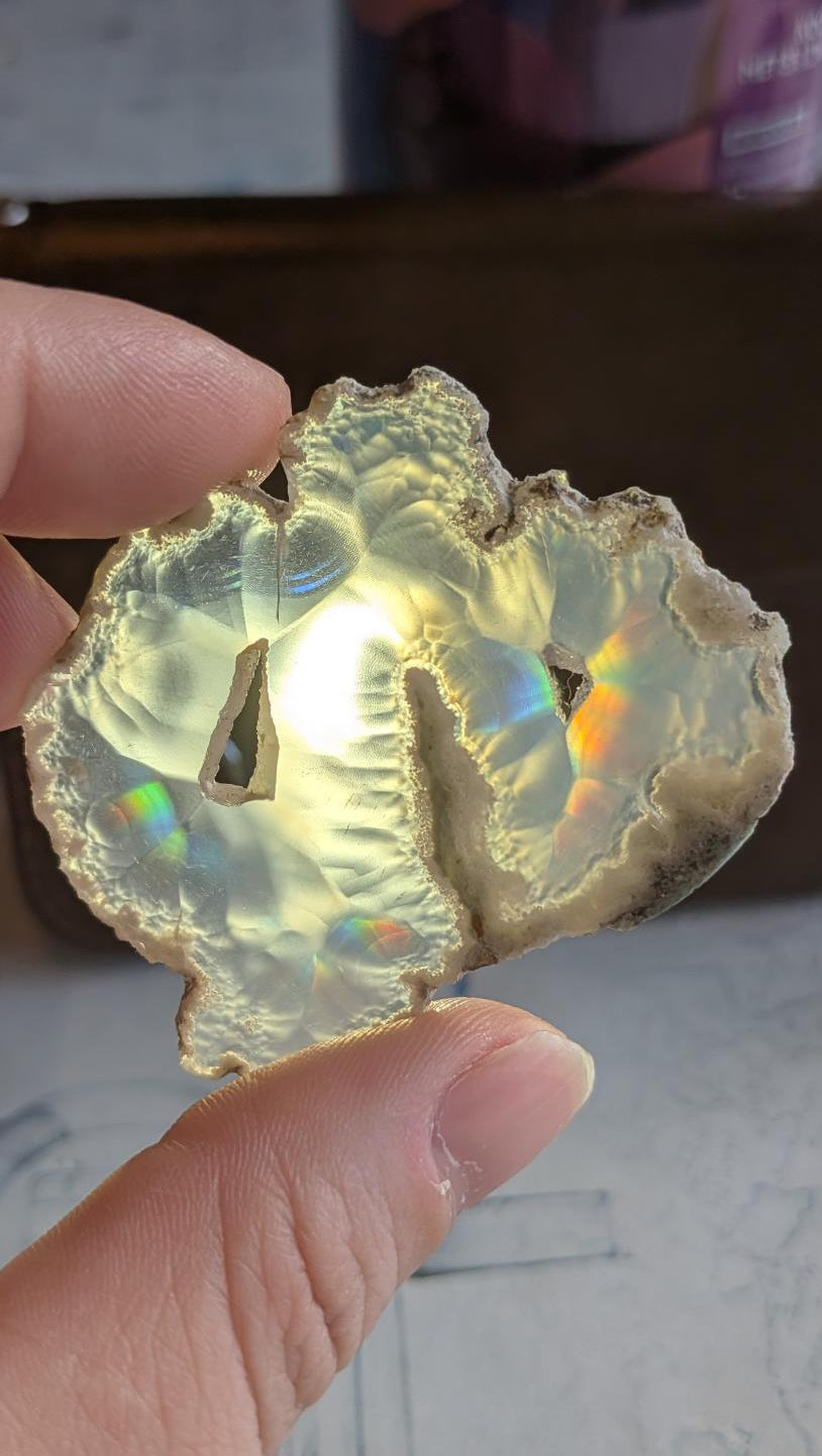 Iris Agaat uit Java (5 x 4 cm) met twee natuurlijke openingen in het midden en felle iriserende regenboogkleuren zichtbaar bij tegenlicht.