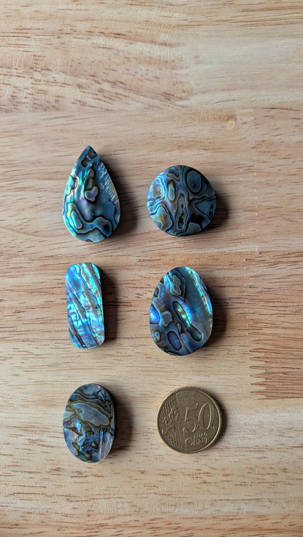 Vijf geslepen stukken Abalone in vormen zoals druppel, cirkel en rechthoek met iriserende blauw-groene glans naast een 50 eurocent munt.
