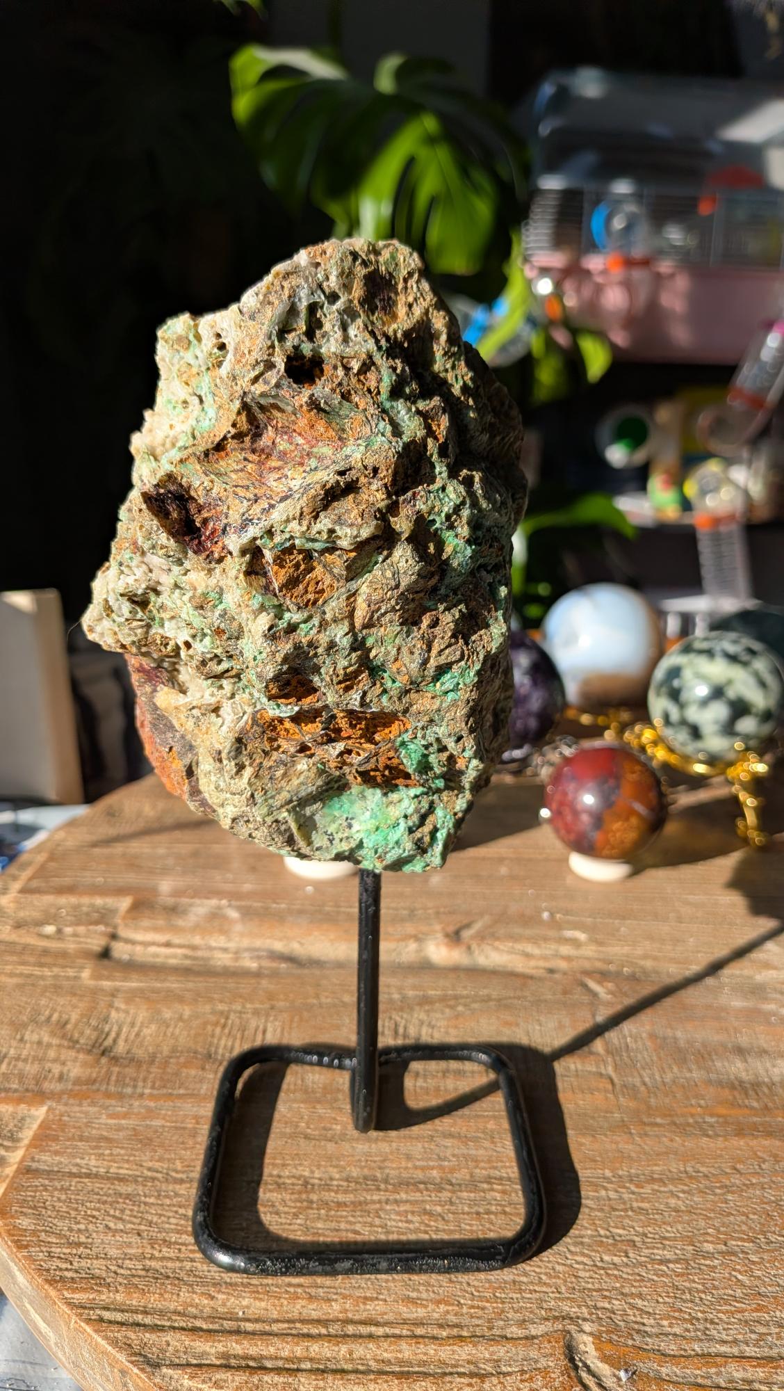 Detailopname van zachtgroene, fonkelende kristalbolletjes in de holtes van een XL Chrysocolla op standaard.