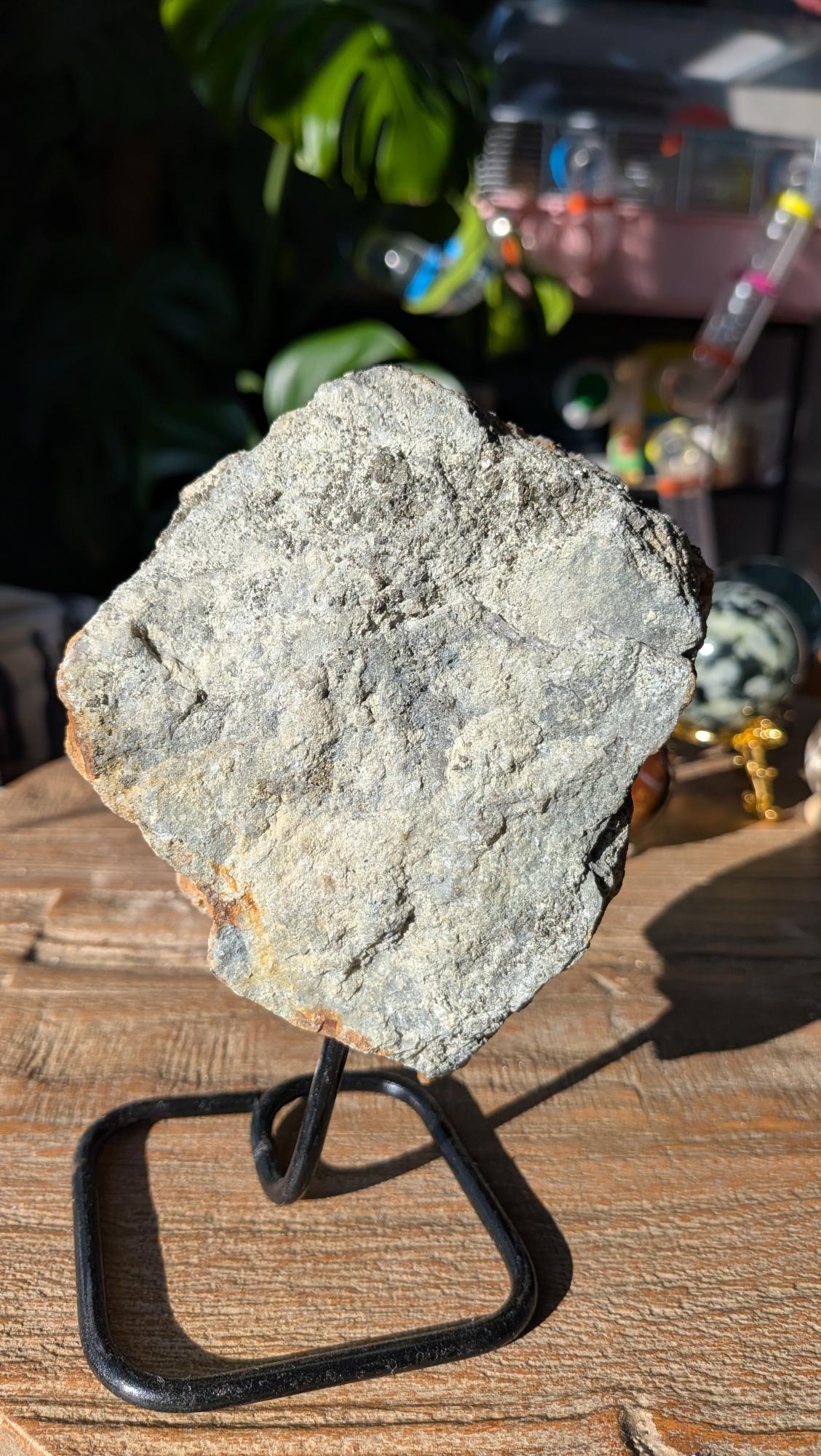 De ruwe, grijze achterzijde van het moedergesteente op een zwarte metalen standaard.