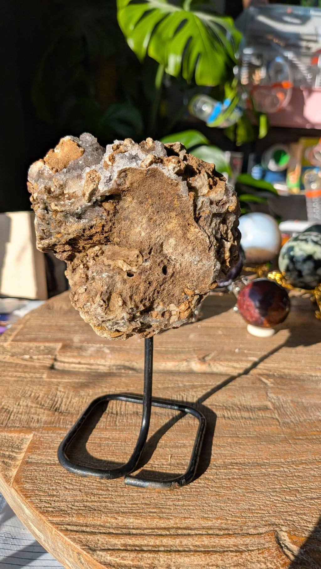 Achterzijde van de woestijngeode op standaard, tonend het robuuste, bruine moedergesteente.