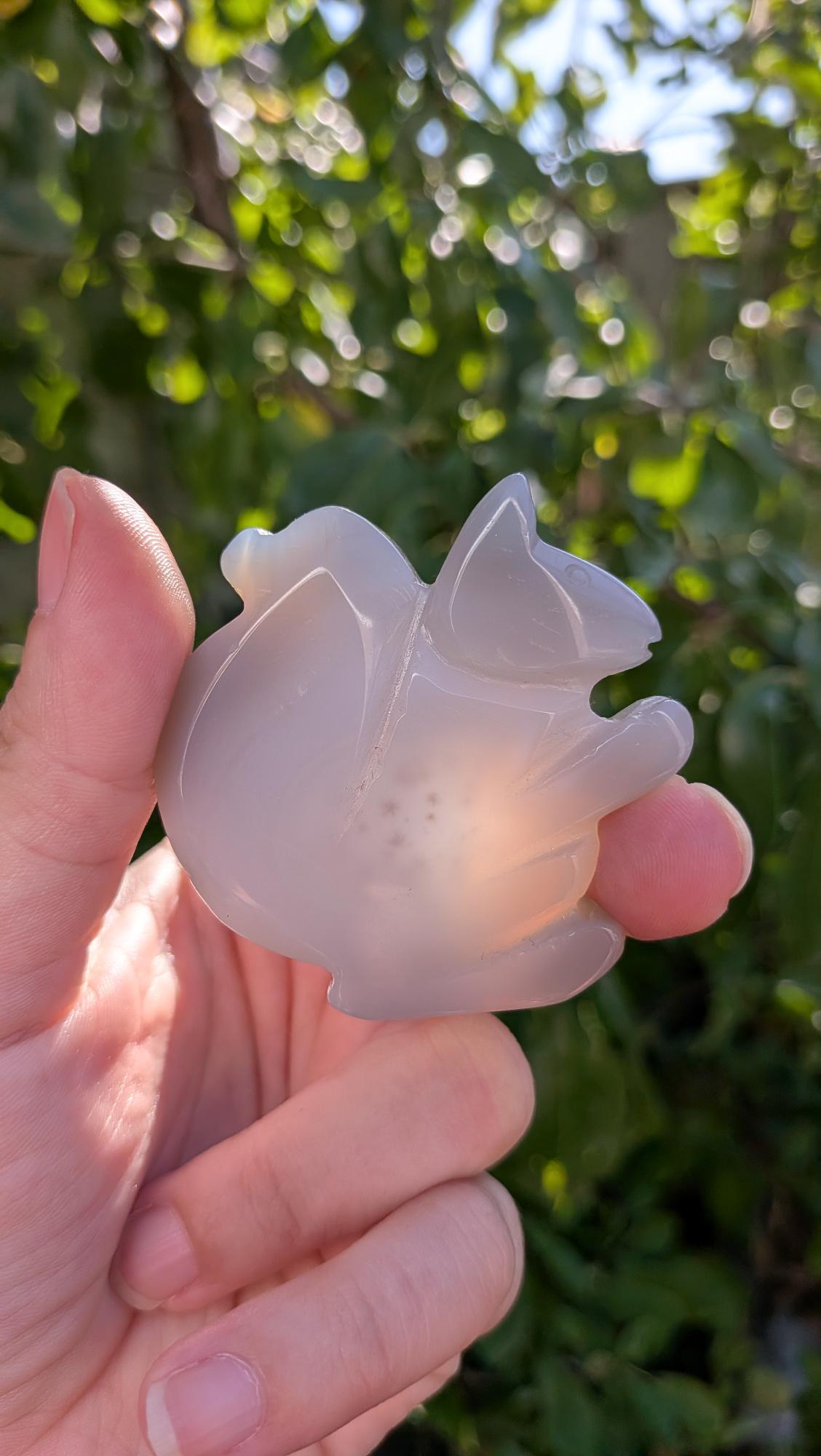 Agaat eekhoorn carving die zelfstandig kan staan – 5,5x5 cm