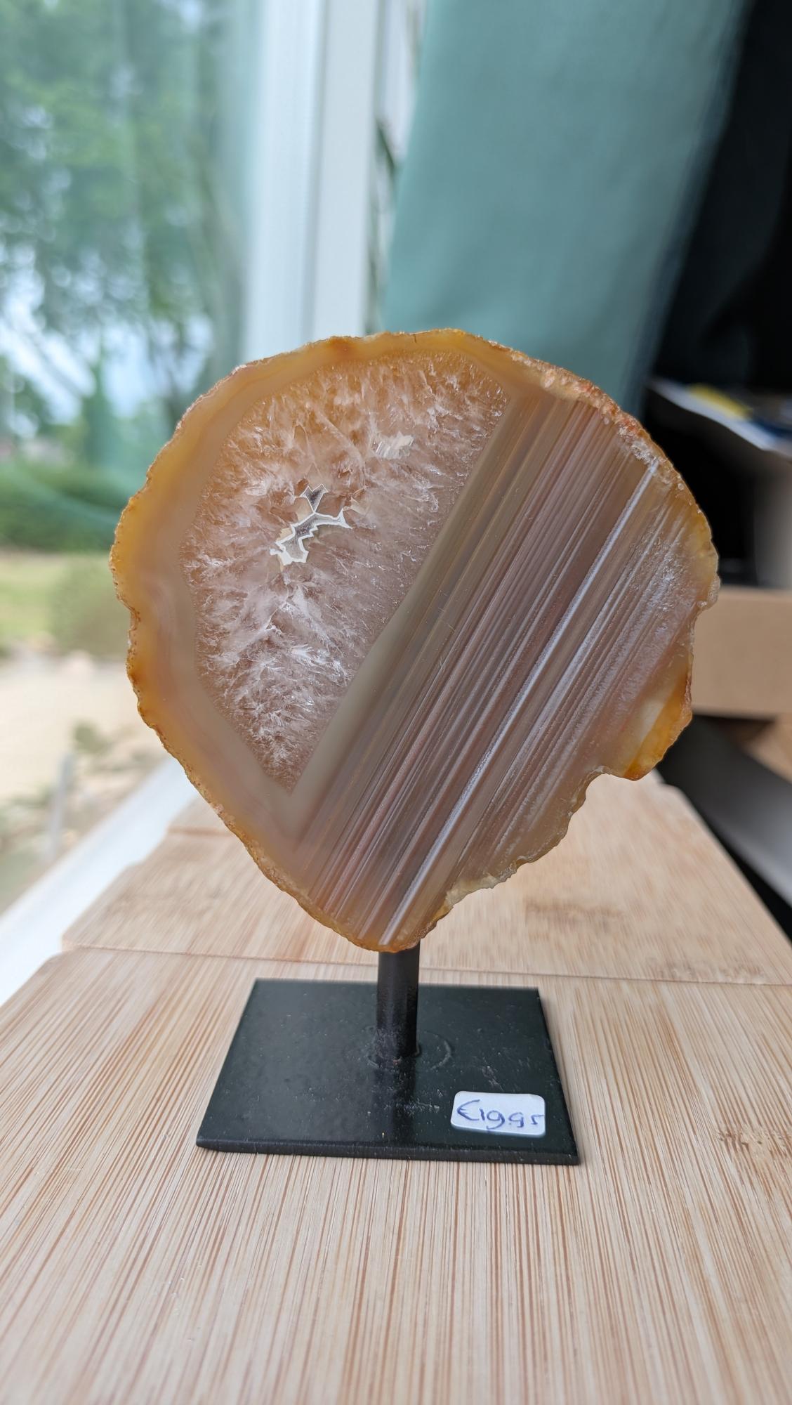 Een hand houdt een warme Agaat-schijf van 302 gram op een zwarte standaard vast, met prachtige gelaagde tinten