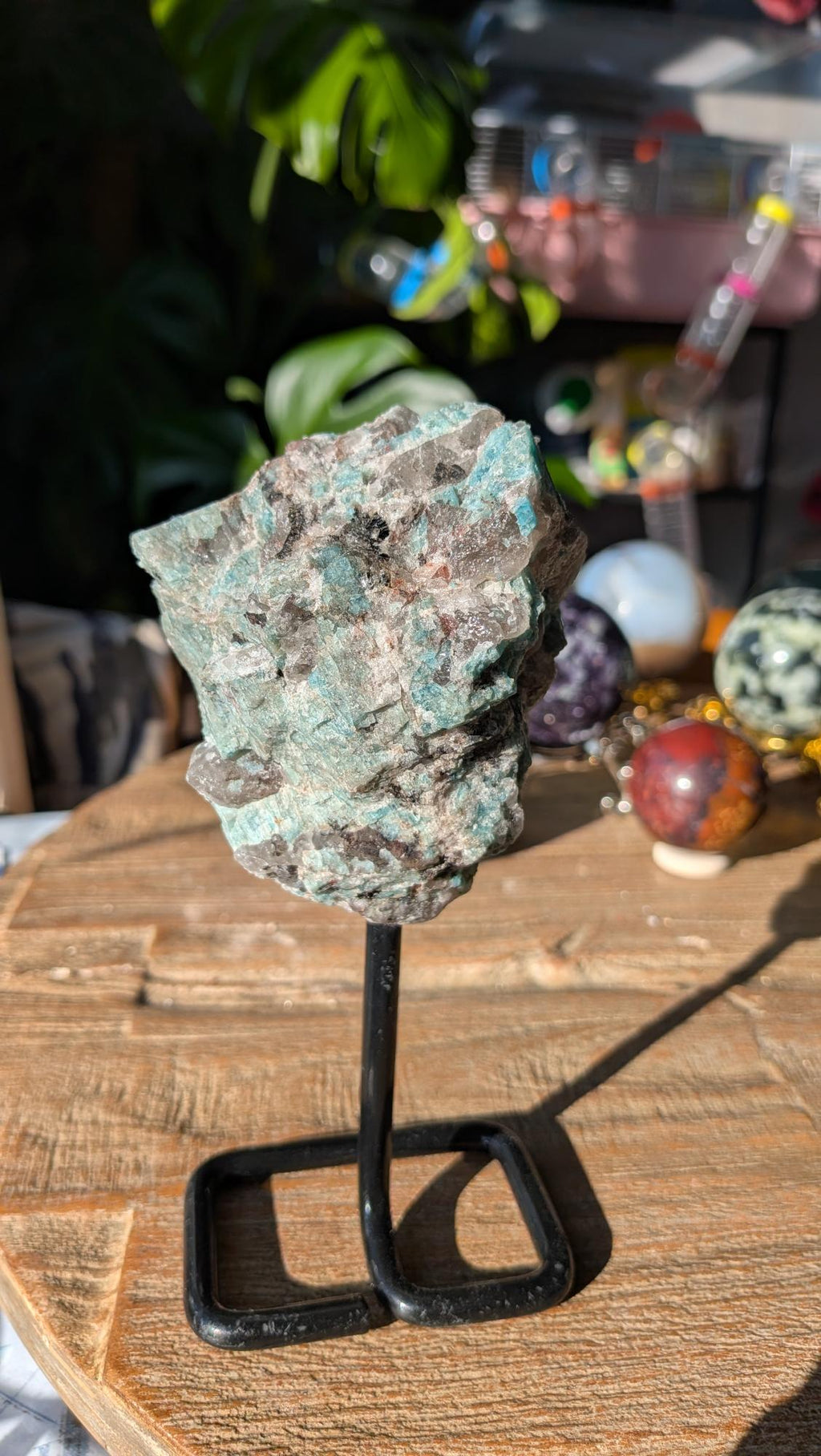 Close-up van ruwe turquoise Amazoniet kristallen vermengd met grijze Rookkwarts op een zwarte standaard.