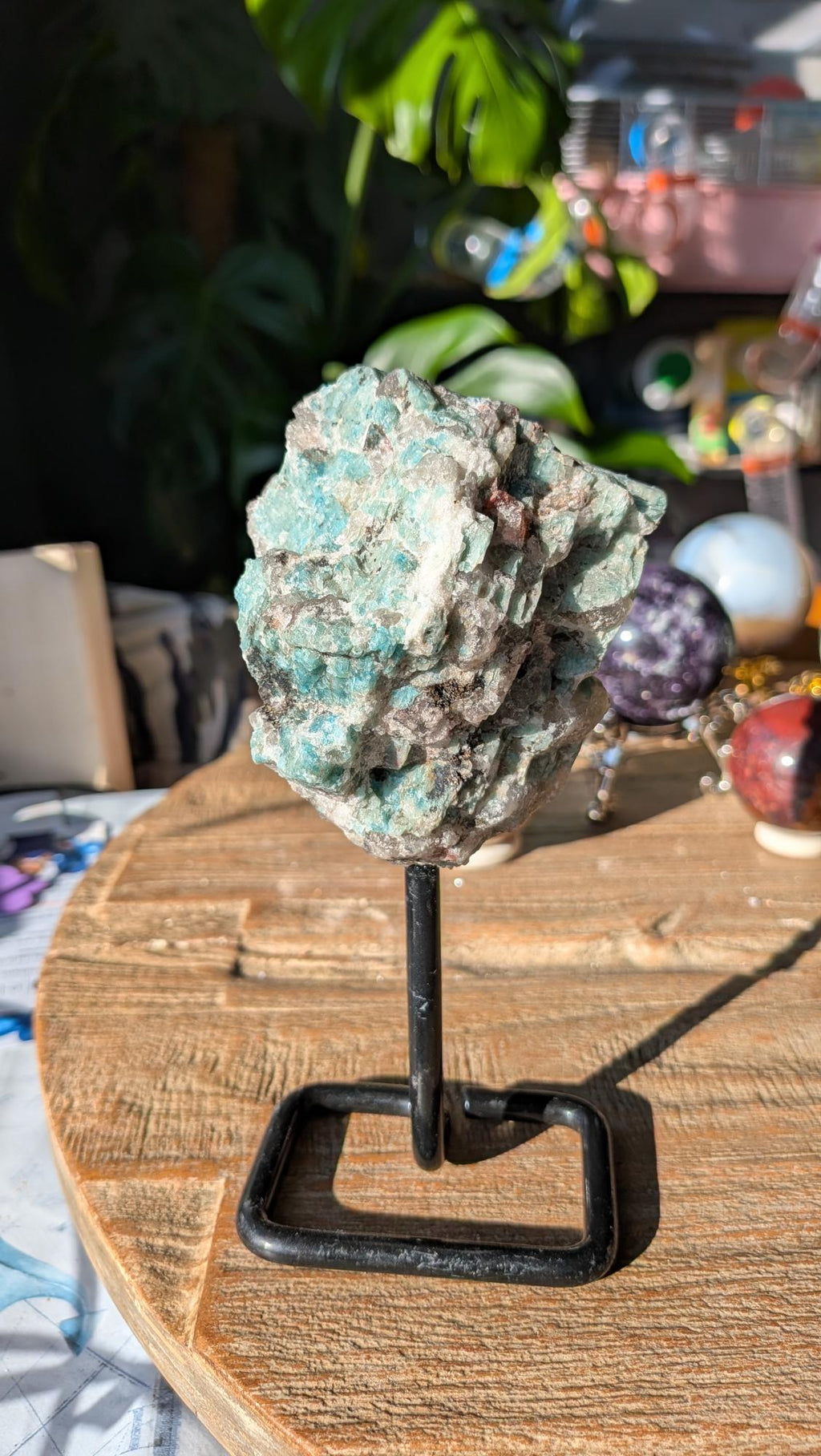 Close-up van ruwe turquoise Amazoniet kristallen vermengd met grijze Rookkwarts op een zwarte standaard.