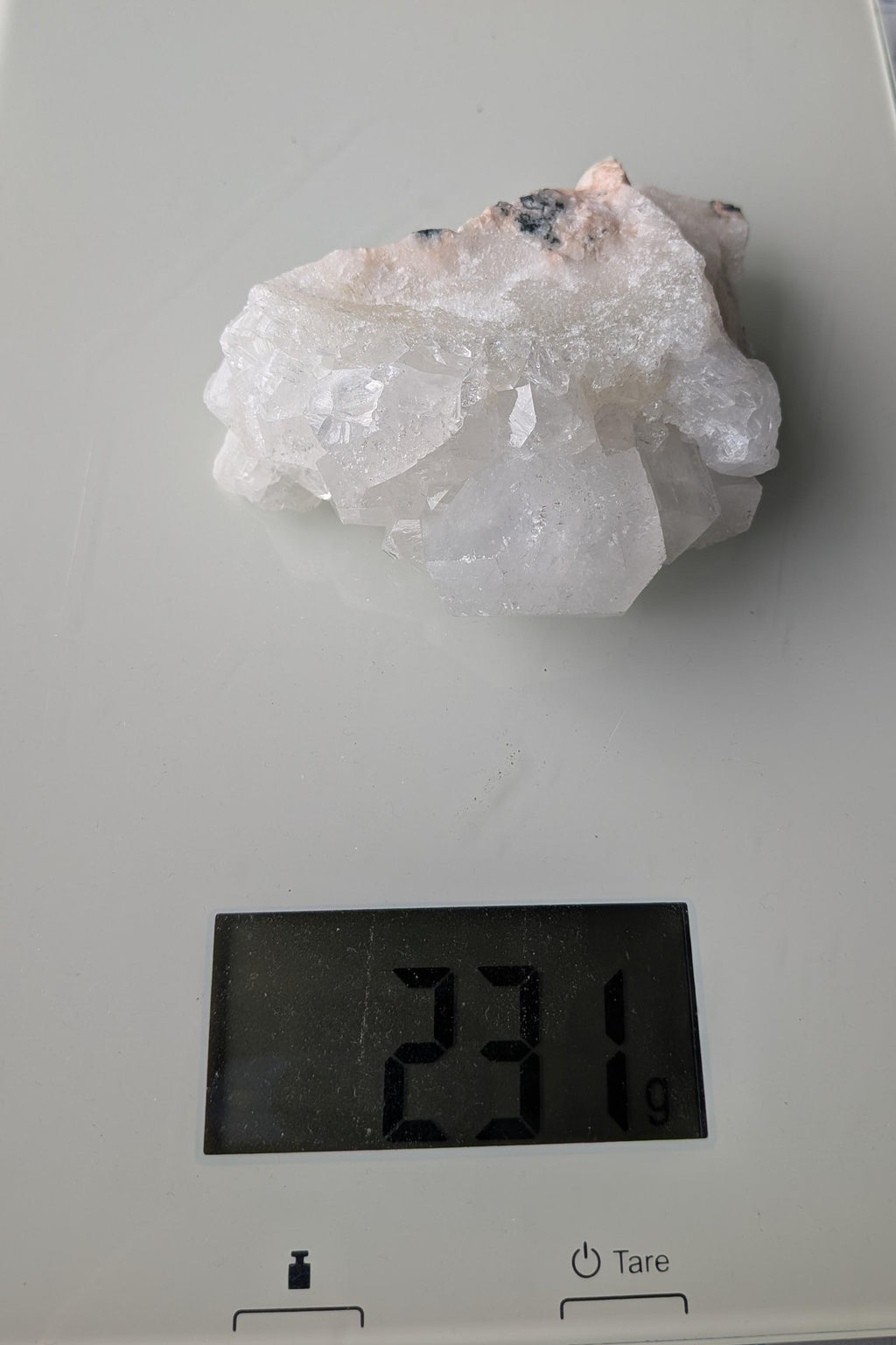 Een substantieel Apofylliet cluster van 231 gram uit Nasik, India, met heldere, glasachtige kristalstructuren op een perzikkleurige matrix, gefotografeerd op een digitale weegschaal.