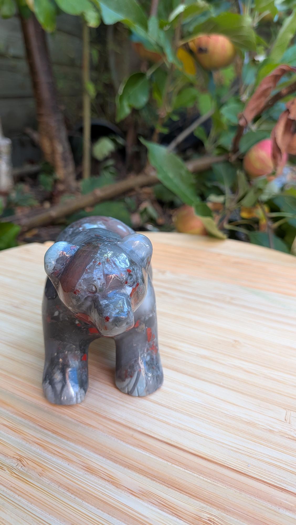 Vooraanzicht van de gedetailleerde Afrikaanse bloedsteen beer carving