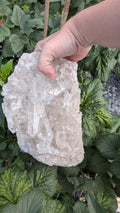 Imposant Bergkristal Cluster – Luxe Natuurlijk Statement (2663 gram)