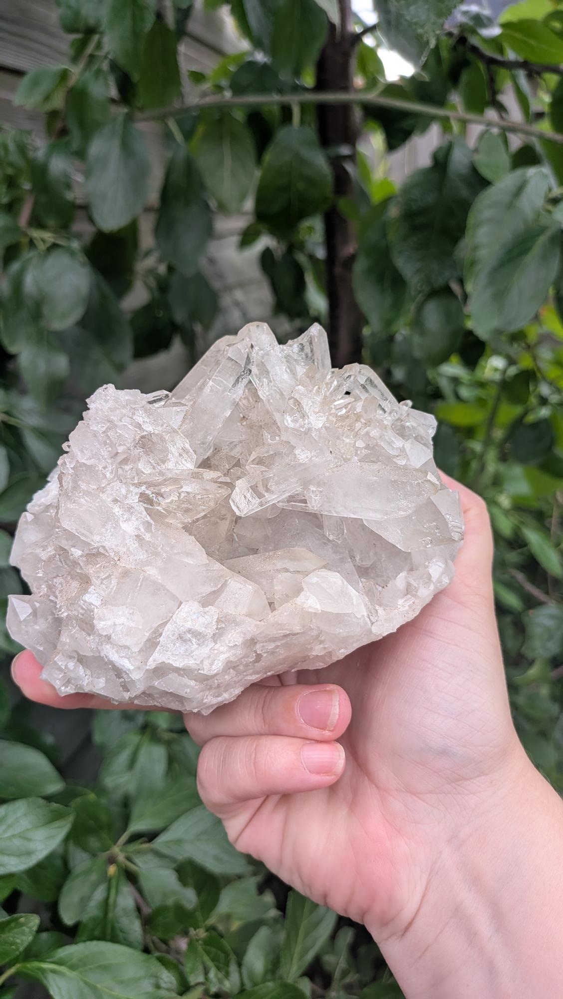 Een hand houdt een helder bergkristal cluster van 1163 gram vast, met zichtbare schitterende kristalpunten
