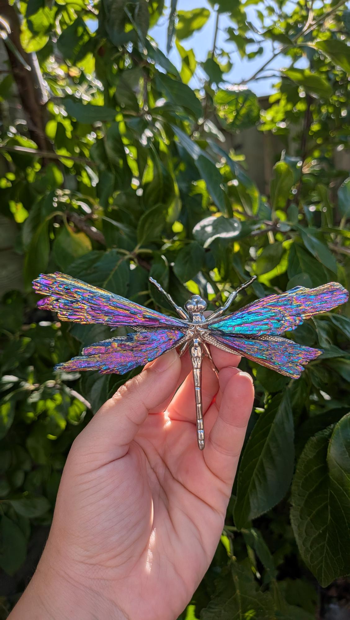 Grote bismuth libelle met regenboogkleurige vleugels – 13,5x7 cm