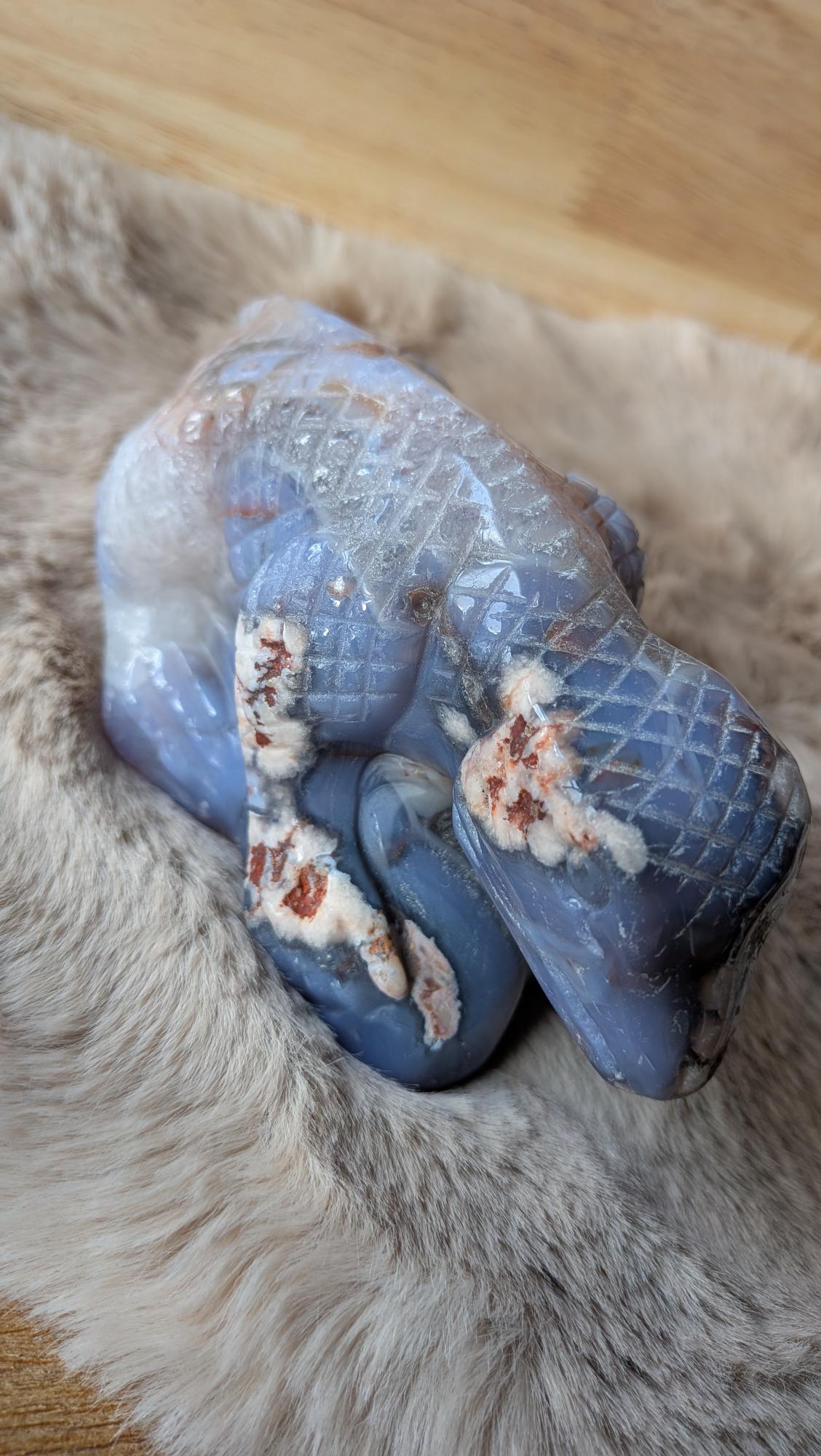 Vooraanzicht van een blauwe bloemagaat hagedis van 609 gram met kalme blauwe tinten.