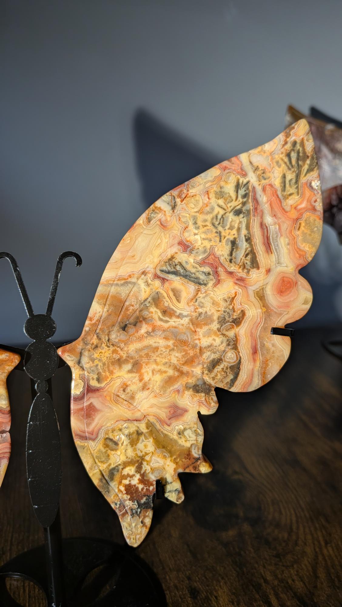 Detail van de warme kleurlijnen in de rechtervleugel van de crazy lace agaat vlinder op standaard