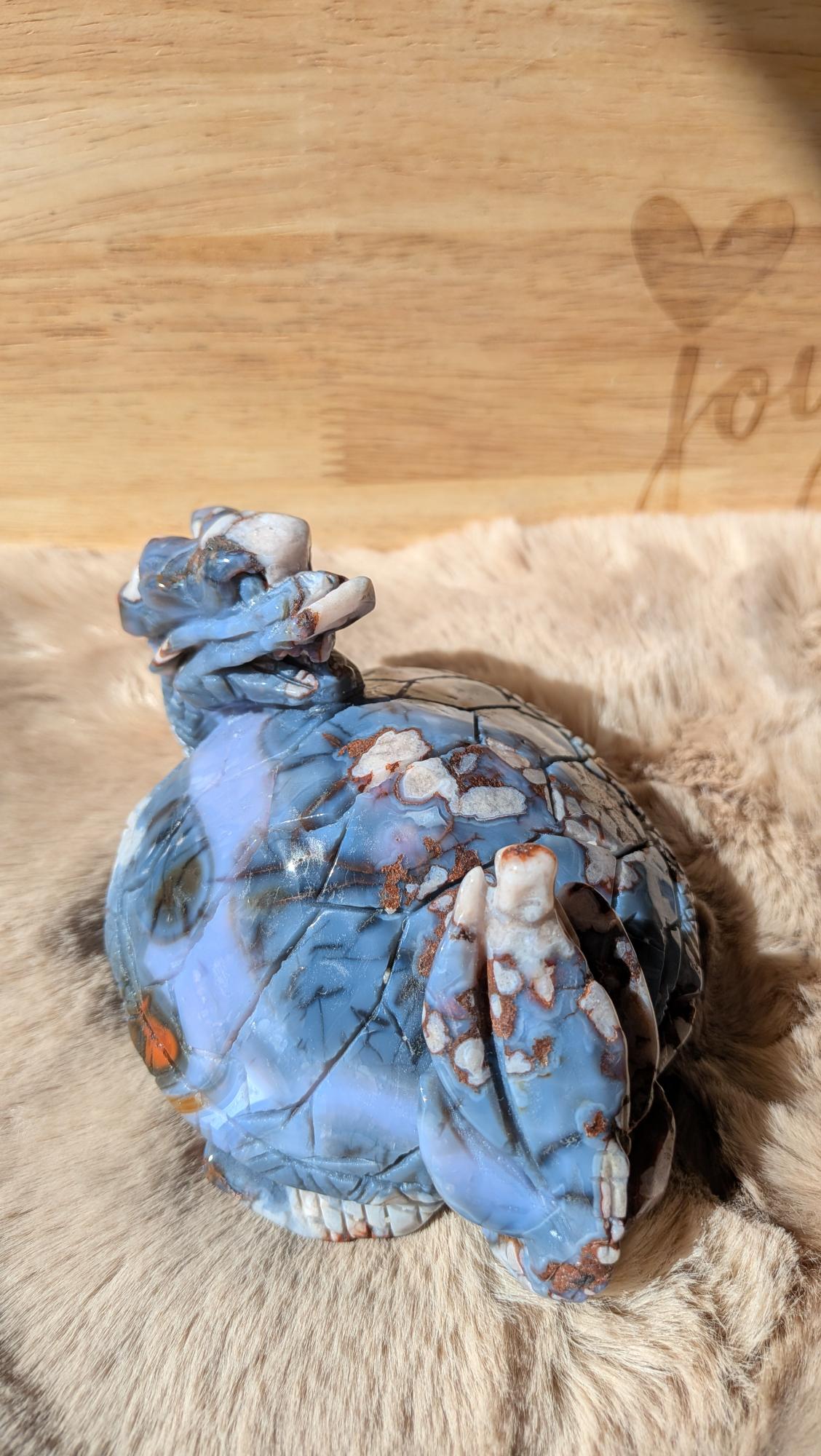 Vooraanzicht van een blauwe bloemagaat dragonturtle van 752 gram met unieke bloempatronen
