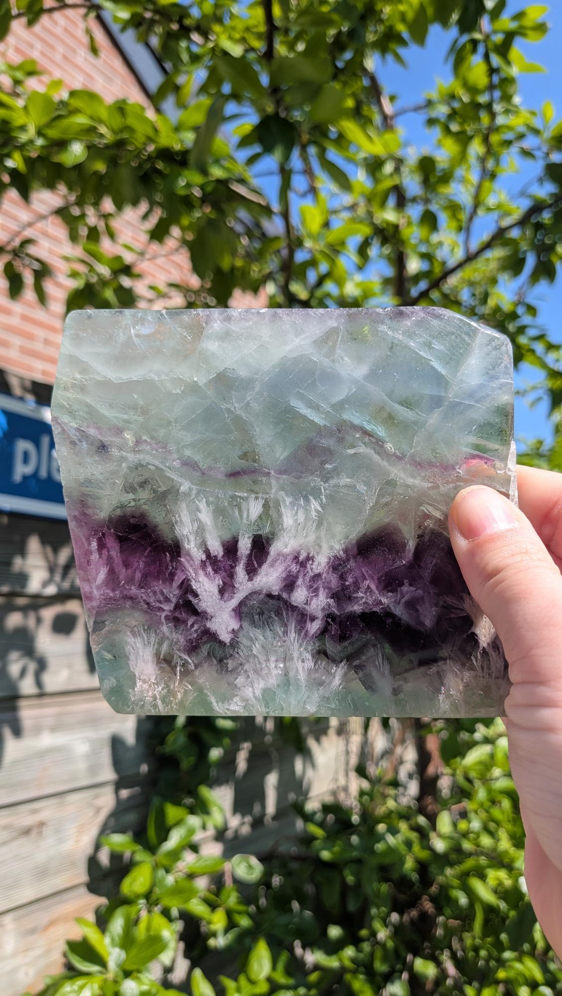 Gepolijste edelsteen slab van Fluoriet met zichtbare natuurlijke kleurlagen en geometrische patronen, 12 bij 11 centimeter, gepresenteerd op een zwarte standaard tegen een neutrale achtergrond.