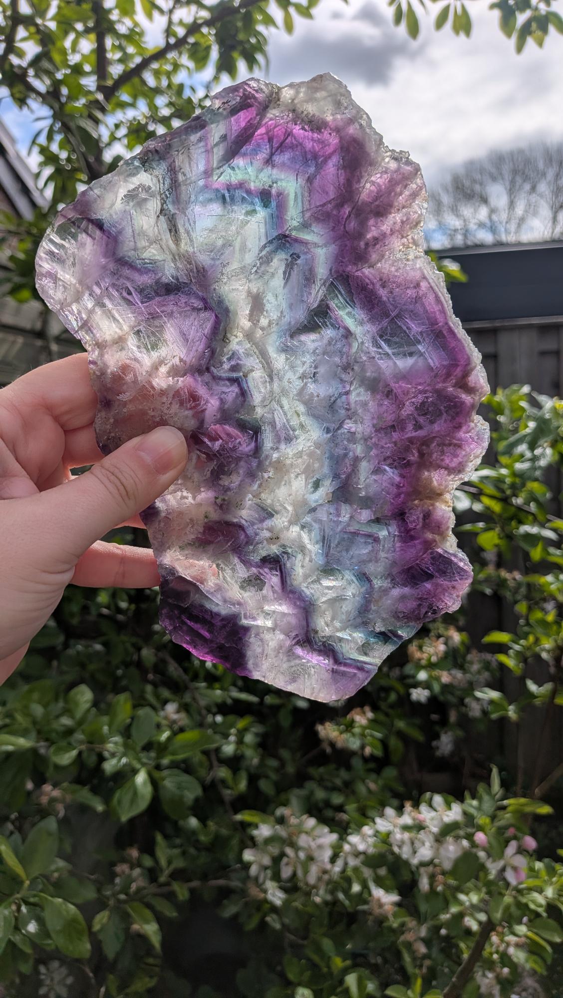 Handgepolijste donkere Fluoriet slab met natuurlijke kleurlagen en kristalstructuur, 21 cm hoog, gepresenteerd op een zwarte metalen standaard tegen een neutrale achtergrond.