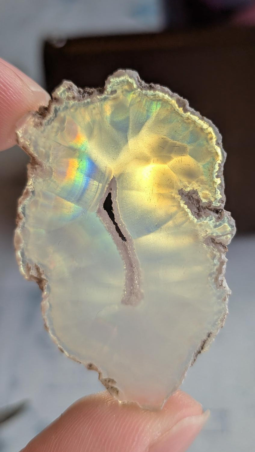 Iris Agaat uit Java (4,5 cm) met een heldere regenboogflits en een natuurlijke opening in het midden, tegen het licht gehouden.