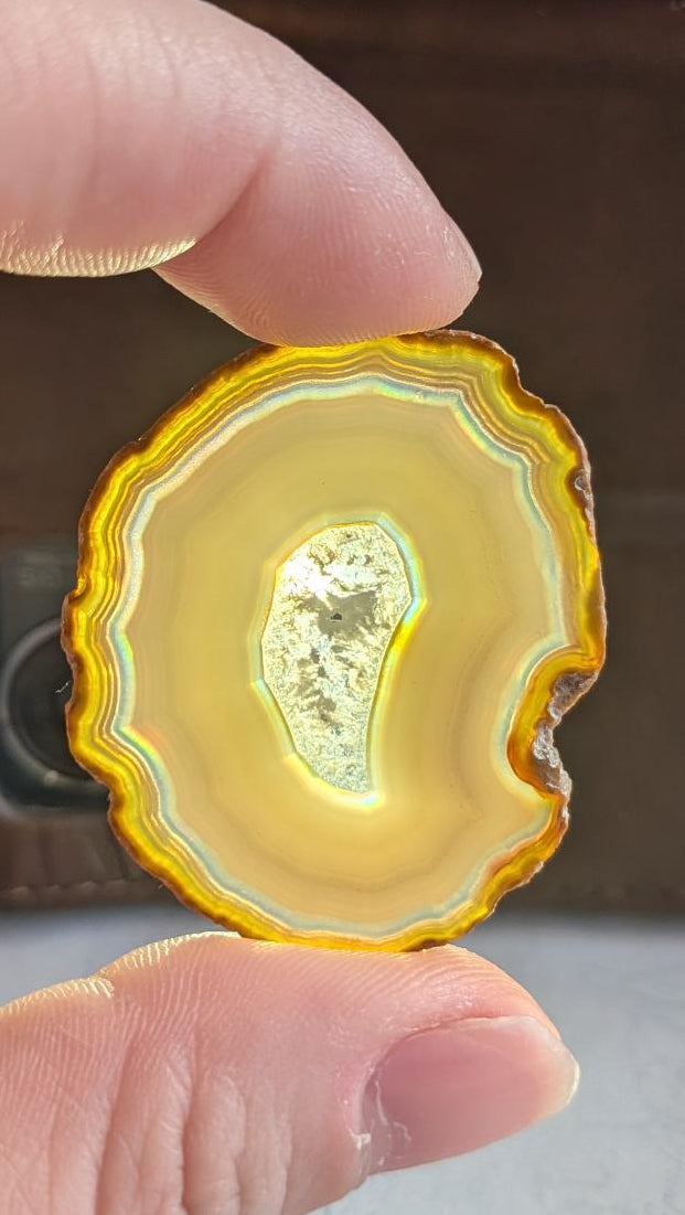 Klein plakje Iris Agaat uit Java (4 cm) met een cirkelvormig regenboogeffect rondom een helder midden, tegen het licht gehouden.