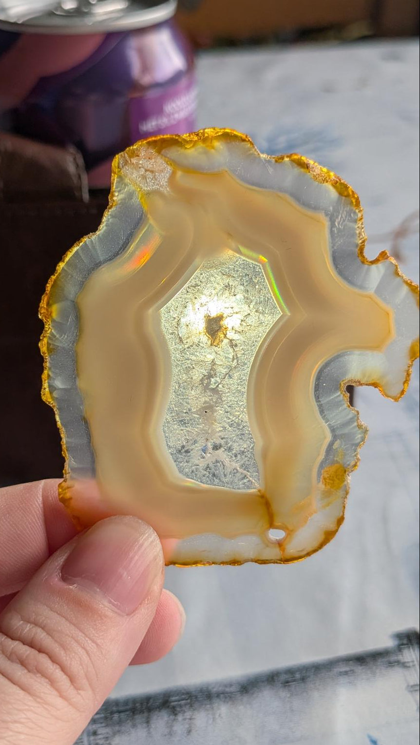 Hand helder plakje Iris Agaat uit Java van 7 bij 5,5 cm, 2 mm dik, tegen het licht gehouden waarbij een felle regenboog en iriserende kleuren zichtbaar zijn in het transparante midden.