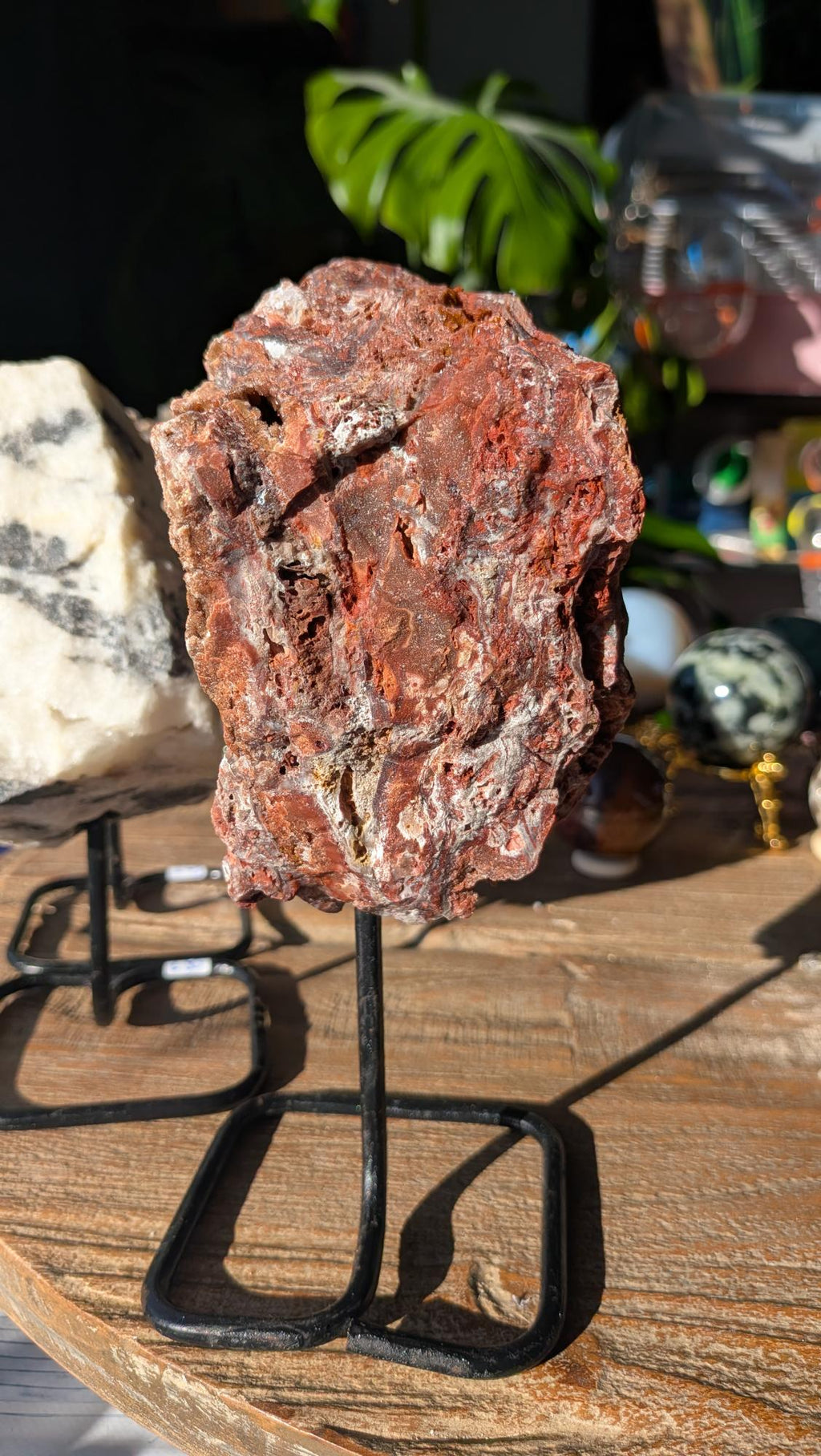 Achterzijde van de rode jaspis op zwarte standaard, tonend een robuuste en ruwe textuur.