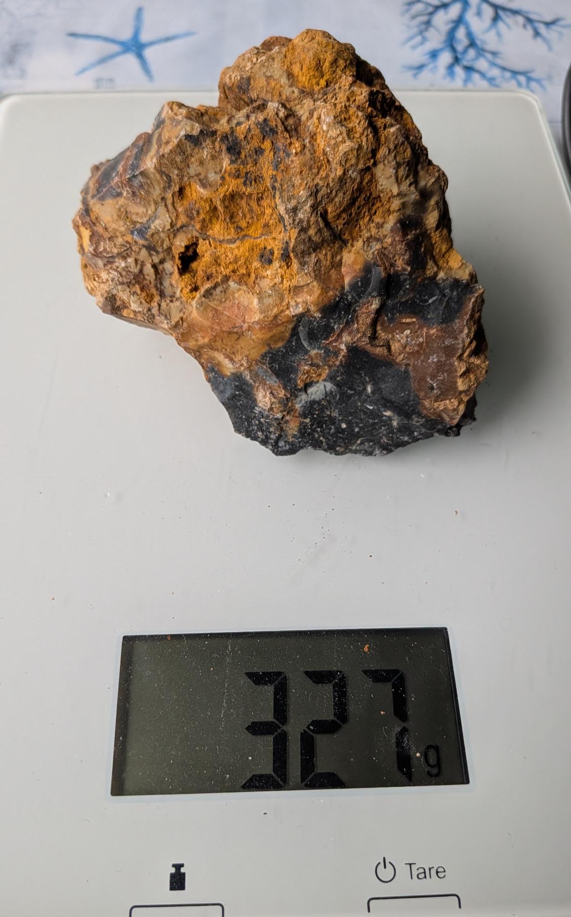Een ruwe Jaspis/Chalcedoon knol van 327 gram met een roodbruine verweerde buitenkant en een diepzwarte, glanzende kern, gefotografeerd op een digitale weegschaal.