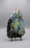 Gepolijste labradoriet slab met intense blauwe en koperen kleurflitsen op een elegante zilverkleurige metalen standaard van Edeltwist.