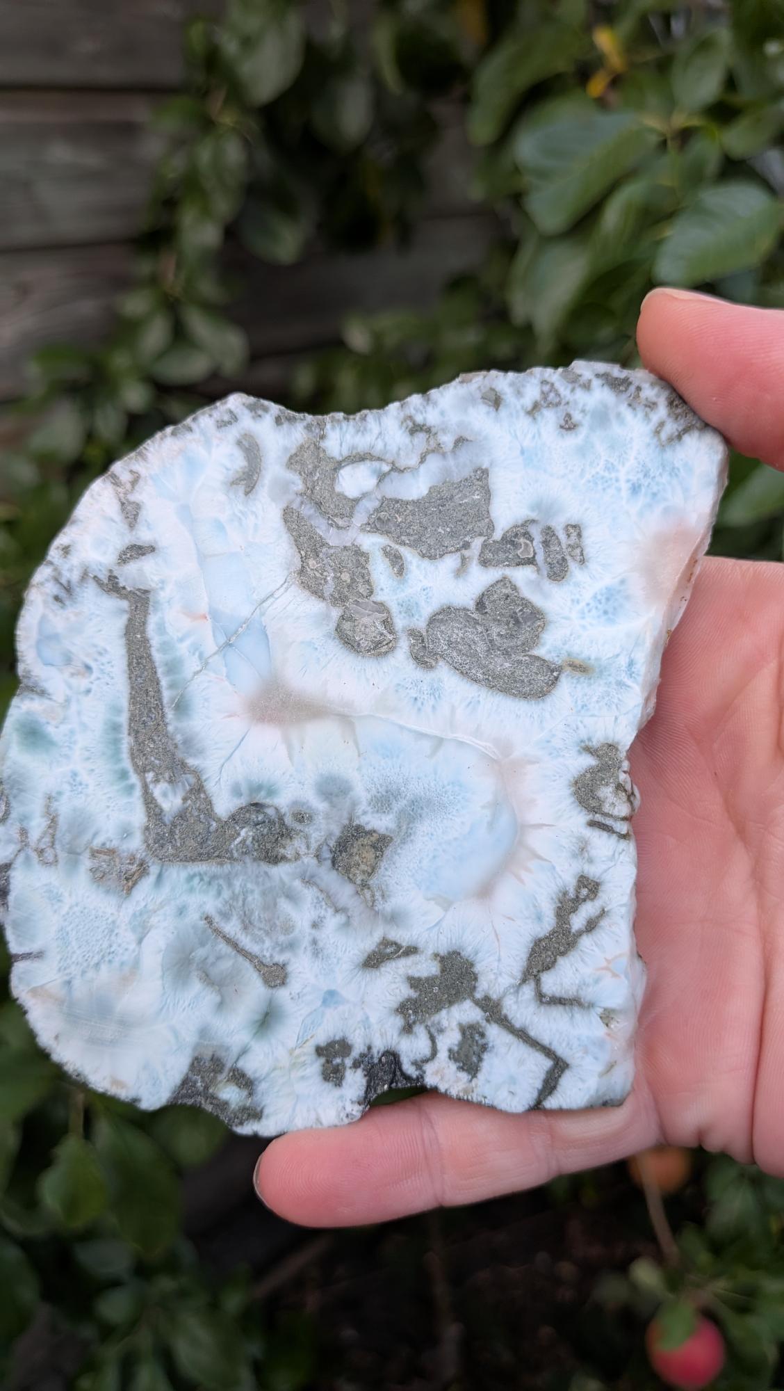 Prachtige gepolijste larimar plaat van 157 gram met unieke blauwe oceaan-tekening, vastgehouden in de hand tegen een achtergrond van groene bladeren.