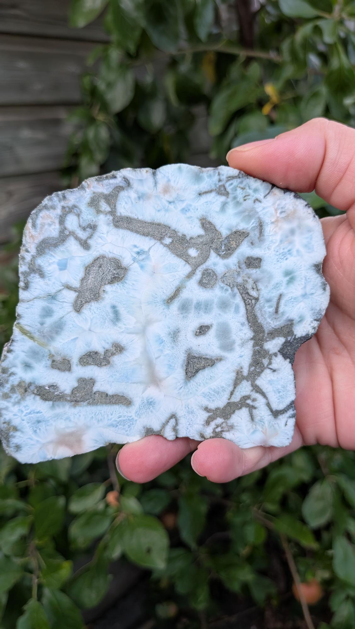 Prachtige gepolijste larimar plaat van 157 gram met unieke blauwe oceaan-tekening, vastgehouden in de hand tegen een achtergrond van groene bladeren.