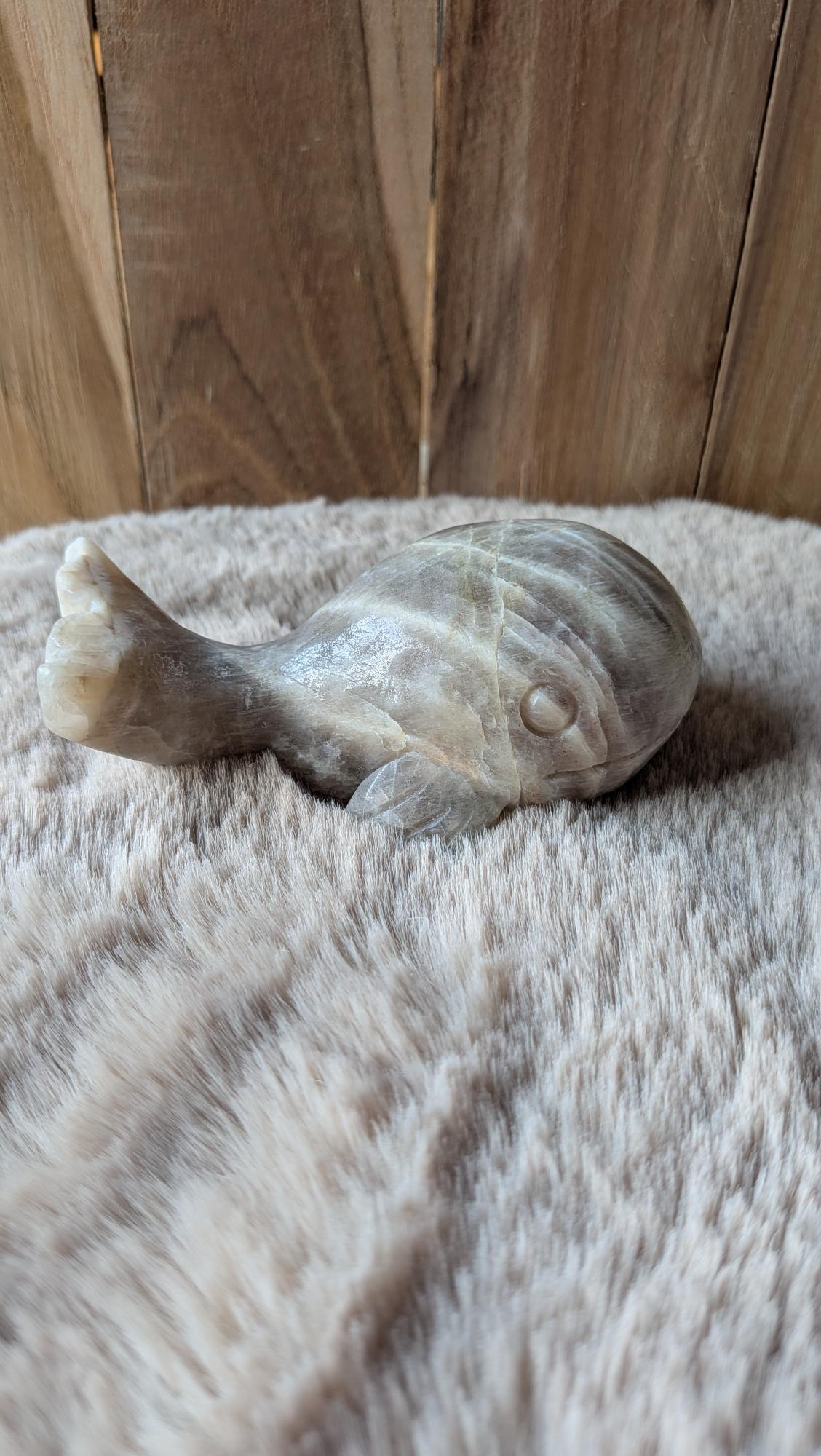 Rechterzijaanzicht van de maansteen walvis met vin en staart.