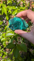 Gepolijste groene Malachiet slab met karakteristieke cirkelvormige patronen en donkergroene banden, 7 bij 4 centimeter, gefotografeerd op een standaard tegen een neutrale achtergrond.
