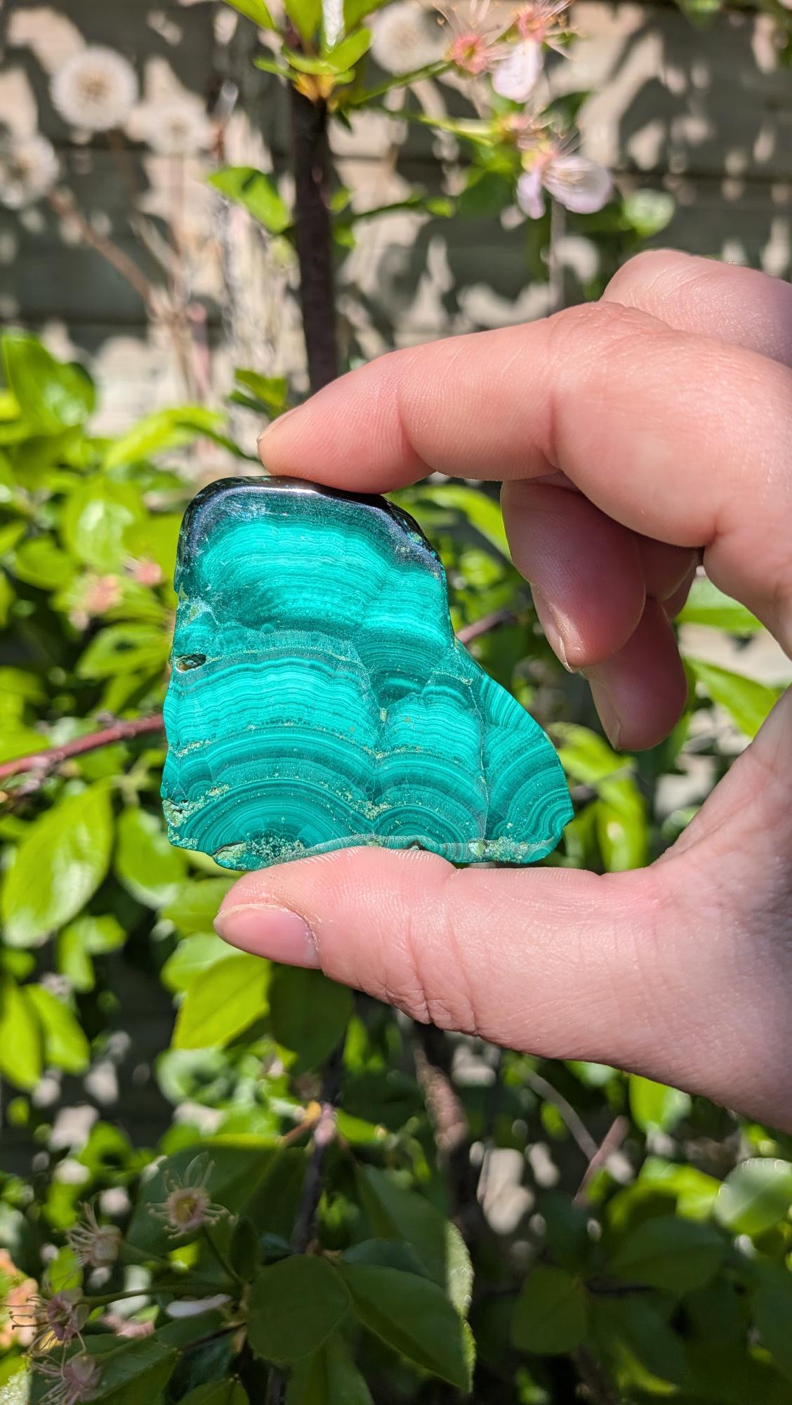 Gepolijste groene Malachiet slab met karakteristieke cirkelvormige 'oog' patronen en donkergroene banden, 5 bij 5 centimeter, gepresenteerd op een standaard tegen een neutrale achtergrond.