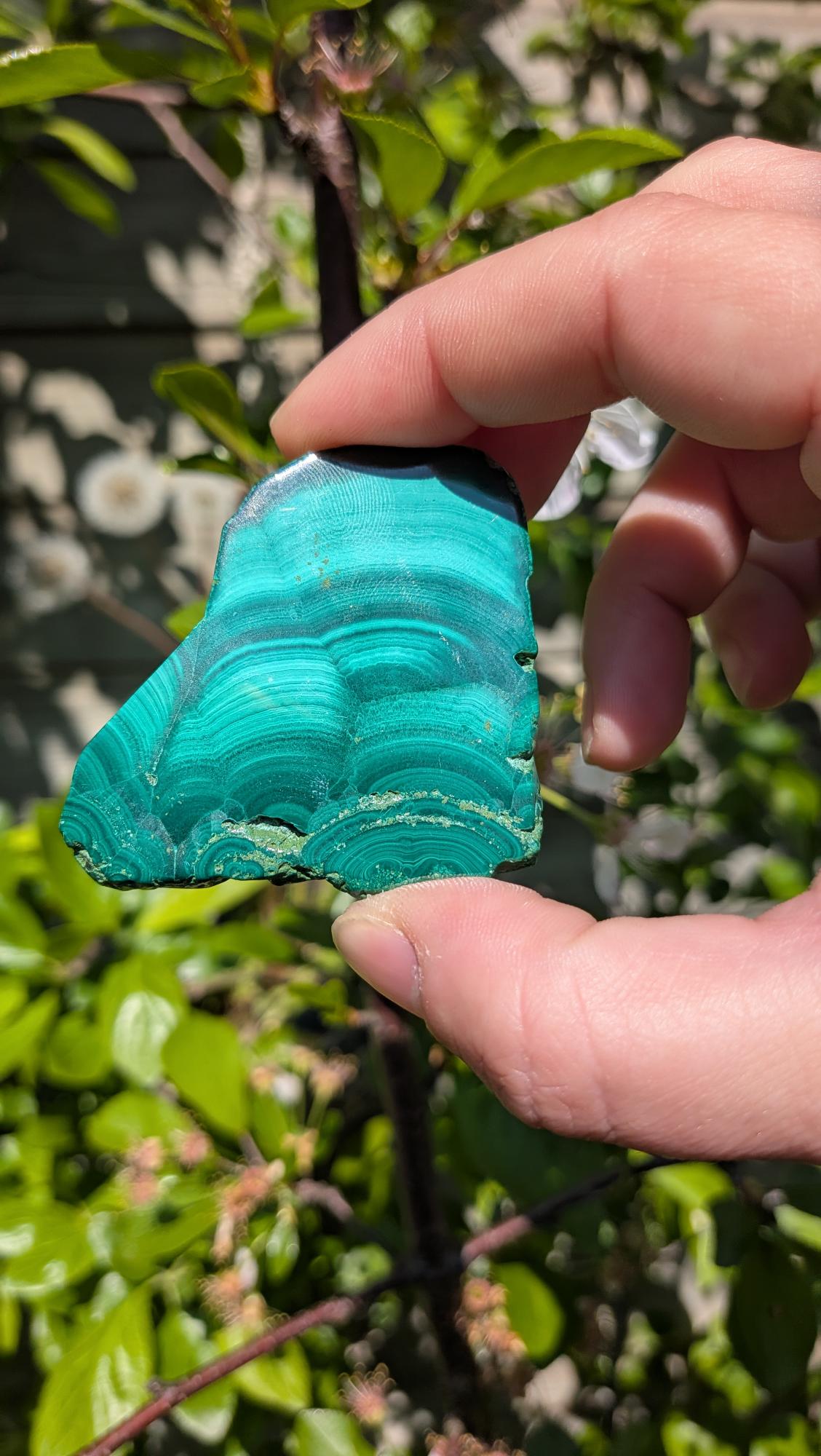 Gepolijste groene Malachiet slab met karakteristieke cirkelvormige 'oog' patronen en donkergroene banden, 5 bij 5 centimeter, gepresenteerd op een standaard tegen een neutrale achtergrond.