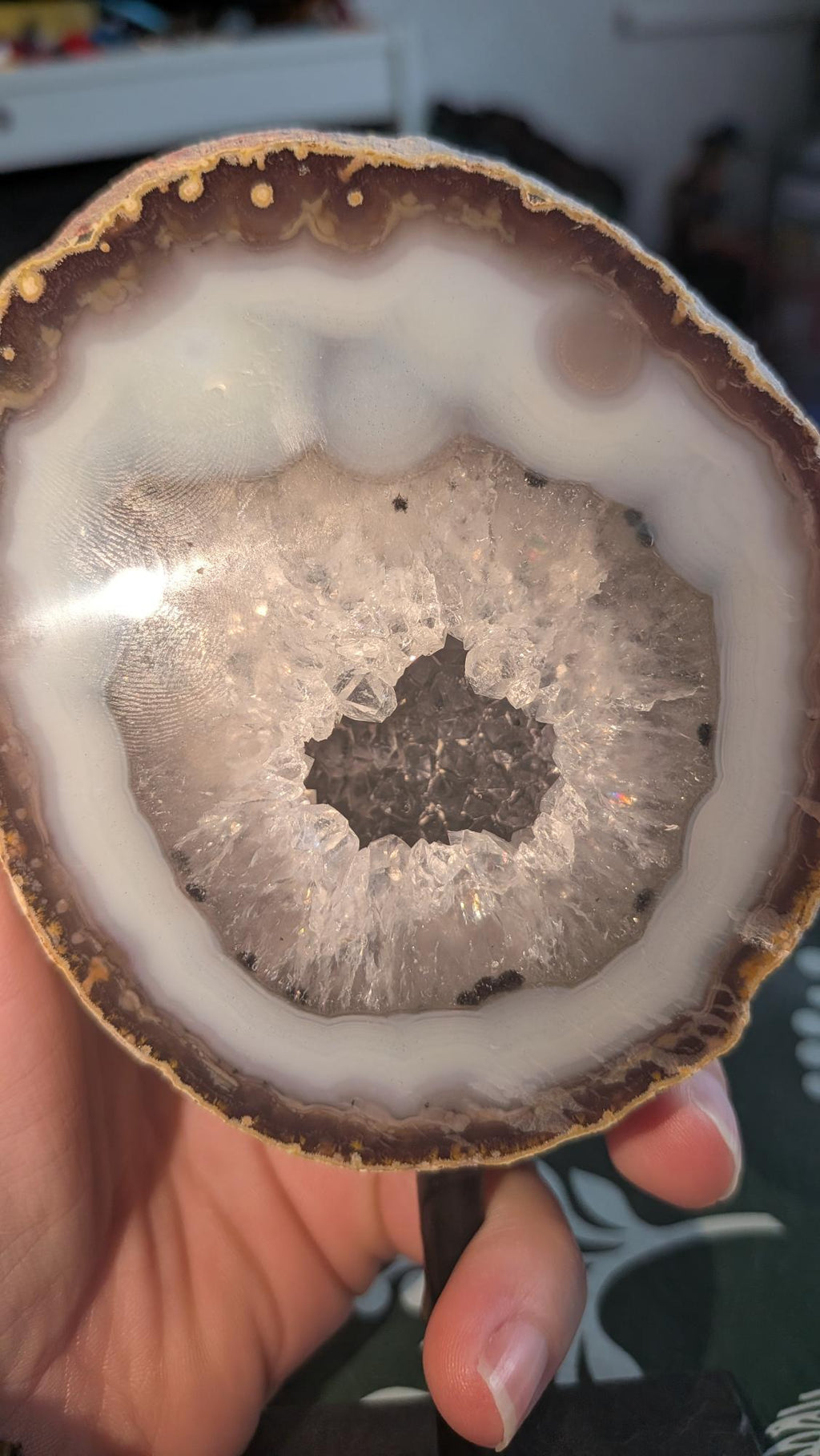 Close-up van een natuurlijke Agaat geode op een zwarte standaard, met een heldere kristallen kern en bruin-witte gelaagde randen, gepresenteerd in een licht interieur.