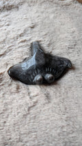 Bovenaanzicht van zilverobsidiaan rog carving van 8.5x9 cm op harige ondergrond.