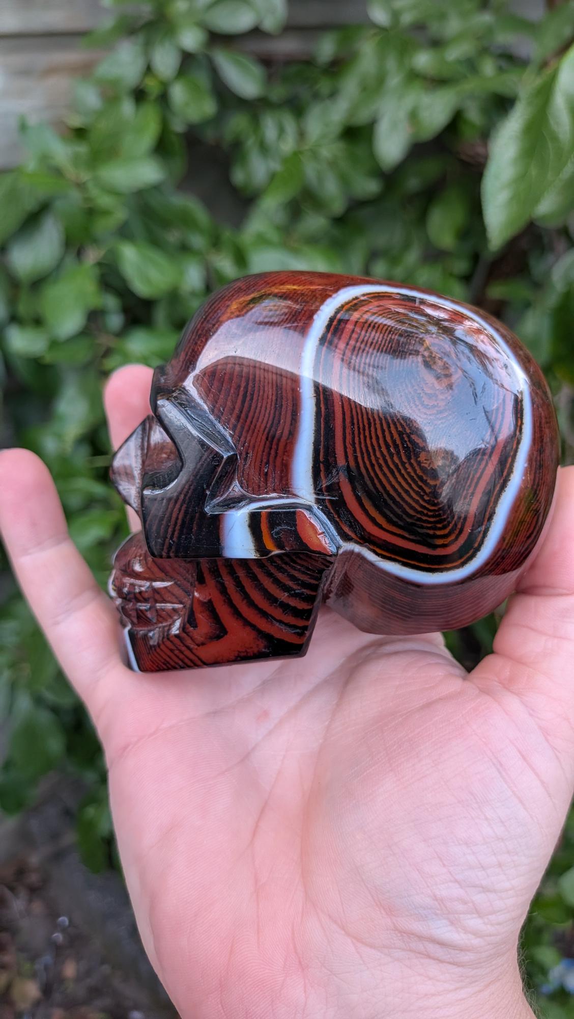Kristallen schedel van 672 gram in sardonyx agaat met dieprode en bruine aardlagen en een witte band, vastgehouden in de hand.