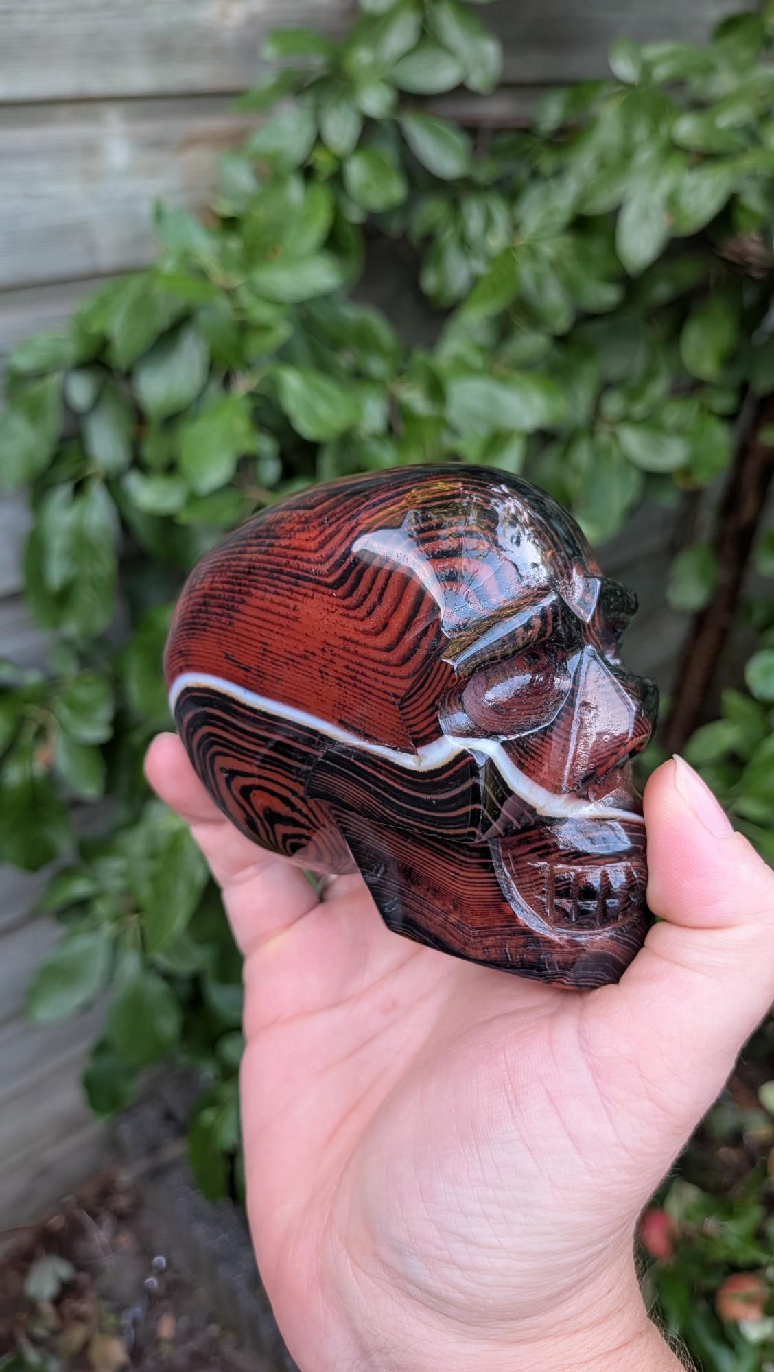 Kristallen schedel van 672 gram in sardonyx agaat met dieprode en bruine aardlagen en een witte band, vastgehouden in de hand.