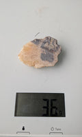 Een klein, uniek Septarie-plakje van 36 gram met een karakteristiek patroon van gelige calciet-aders in een donkere matrix, gefotografeerd op een digitale weegschaal.