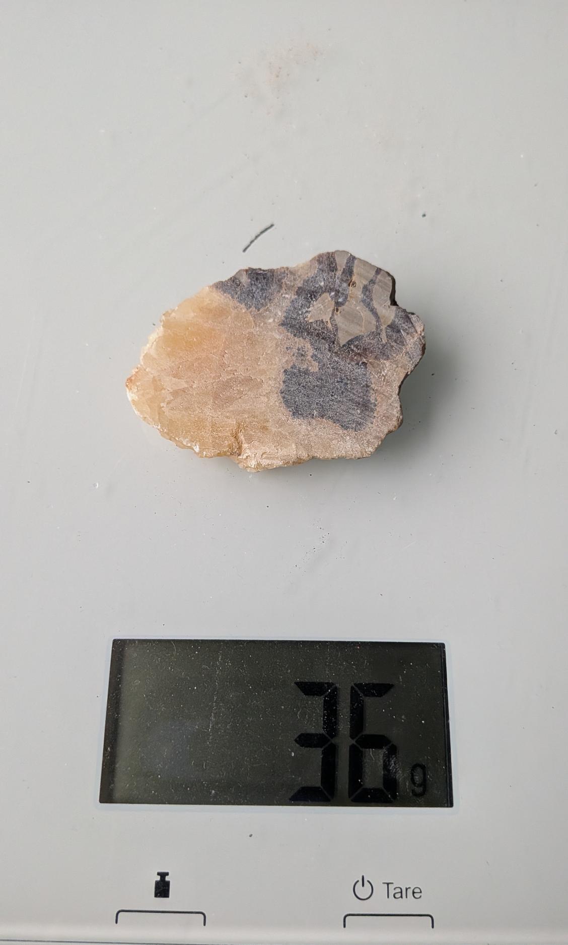 Een klein, uniek Septarie-plakje van 36 gram met een karakteristiek patroon van gelige calciet-aders in een donkere matrix, gefotografeerd op een digitale weegschaal.