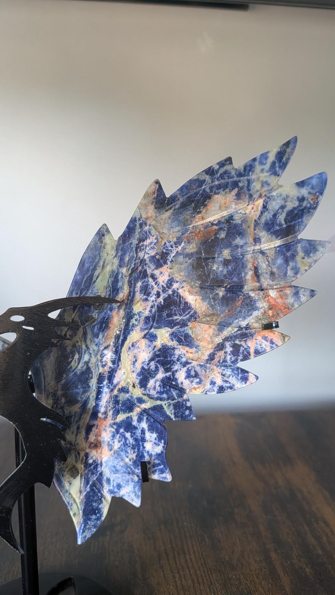 Dichtbij opname van Sodaliet drakenvleugel op zwarte standaard