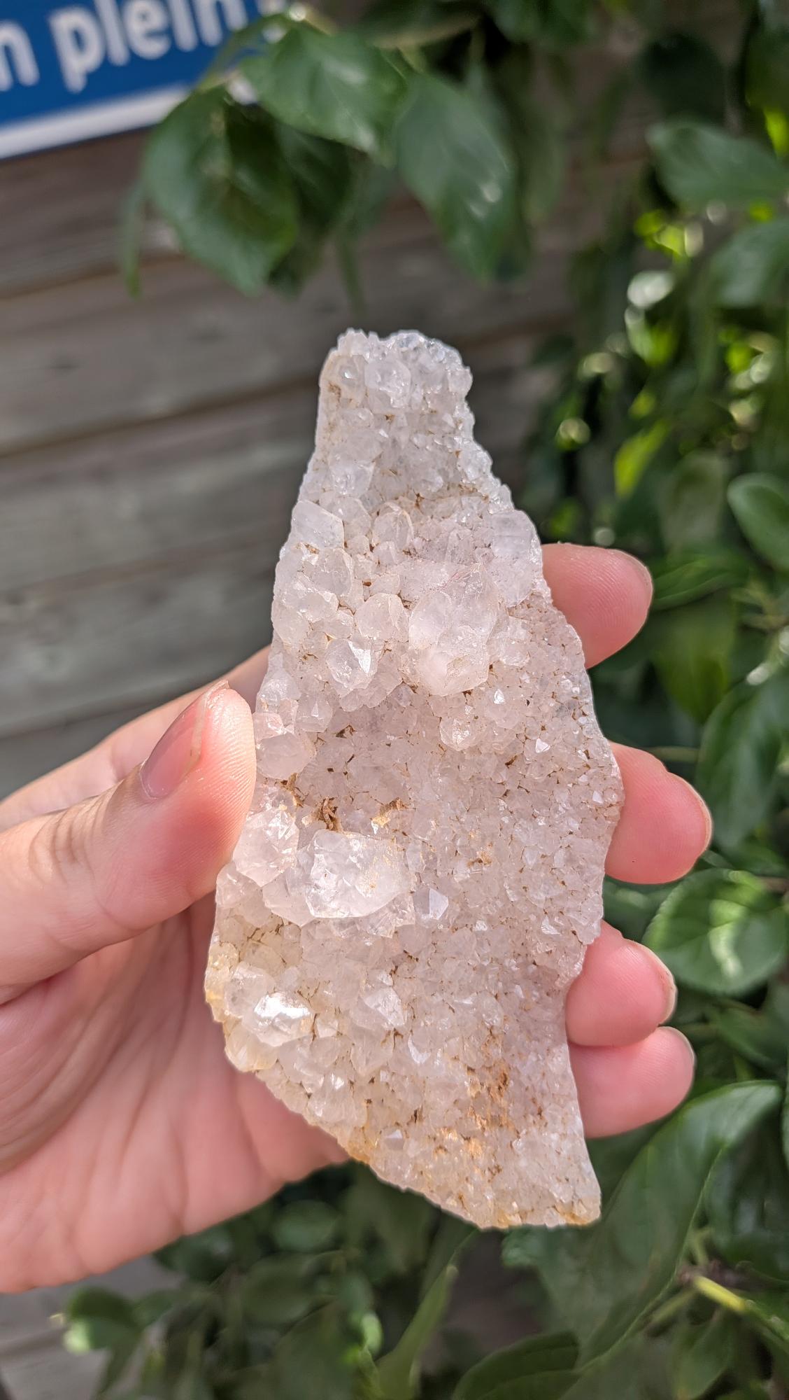Een hand houdt een sprankelende, langwerpige suiker druzy chalcedoon van 74 gram vast, met een fijne, suikerachtige kristaltextuur
